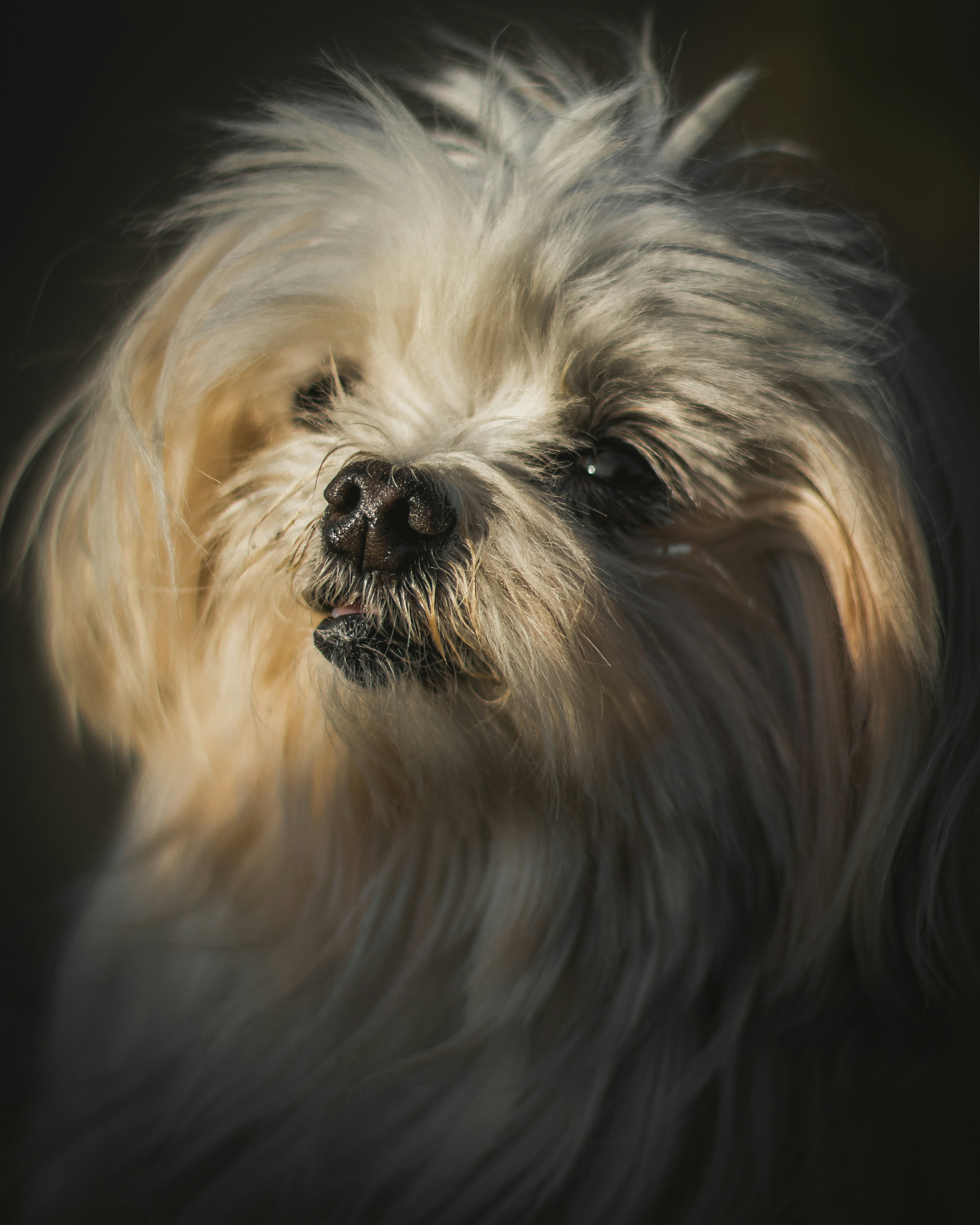 Ular ozlarining yigitlaridan konvulsiv ravishda ajraladilar