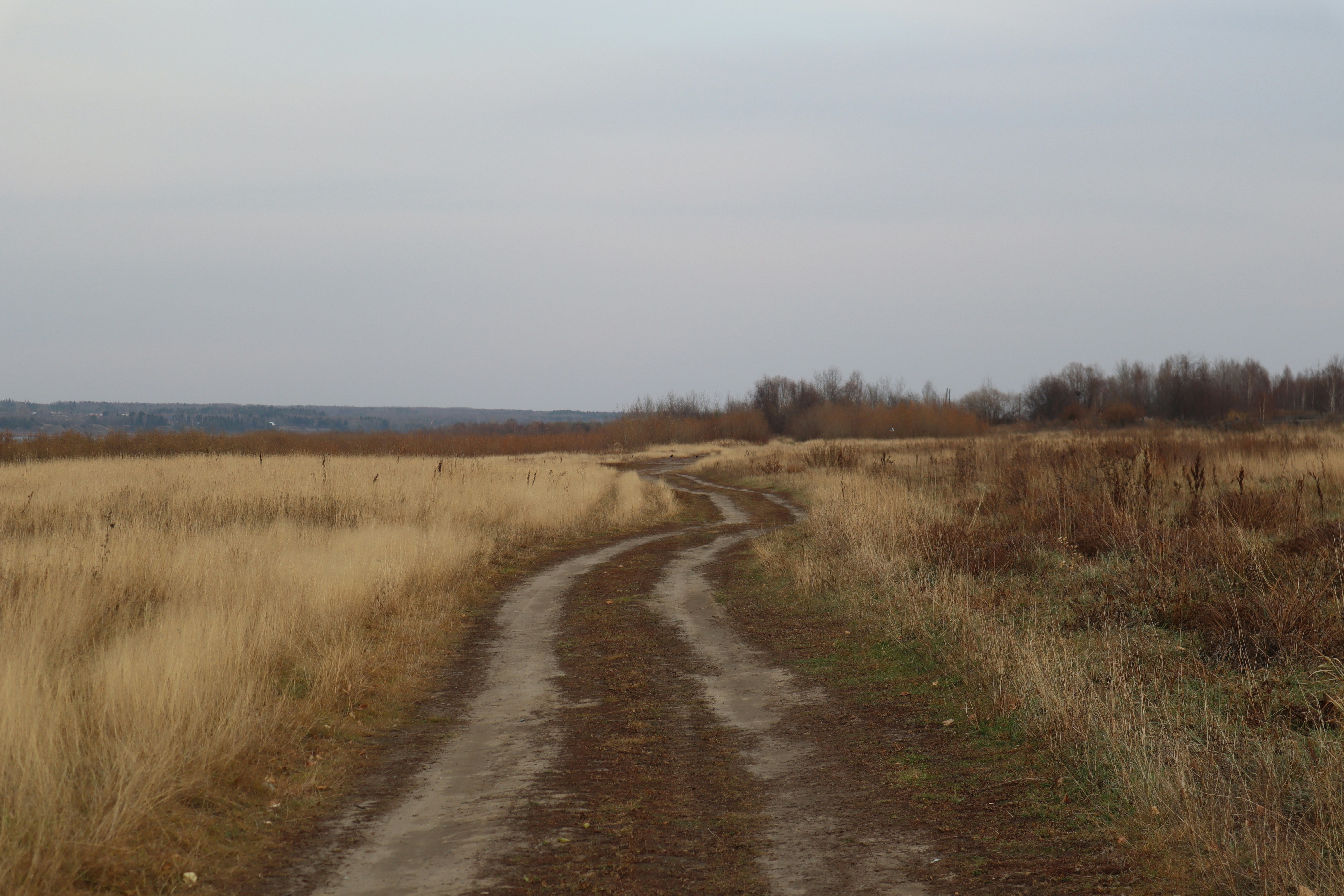 Photo by helga_moskaleva