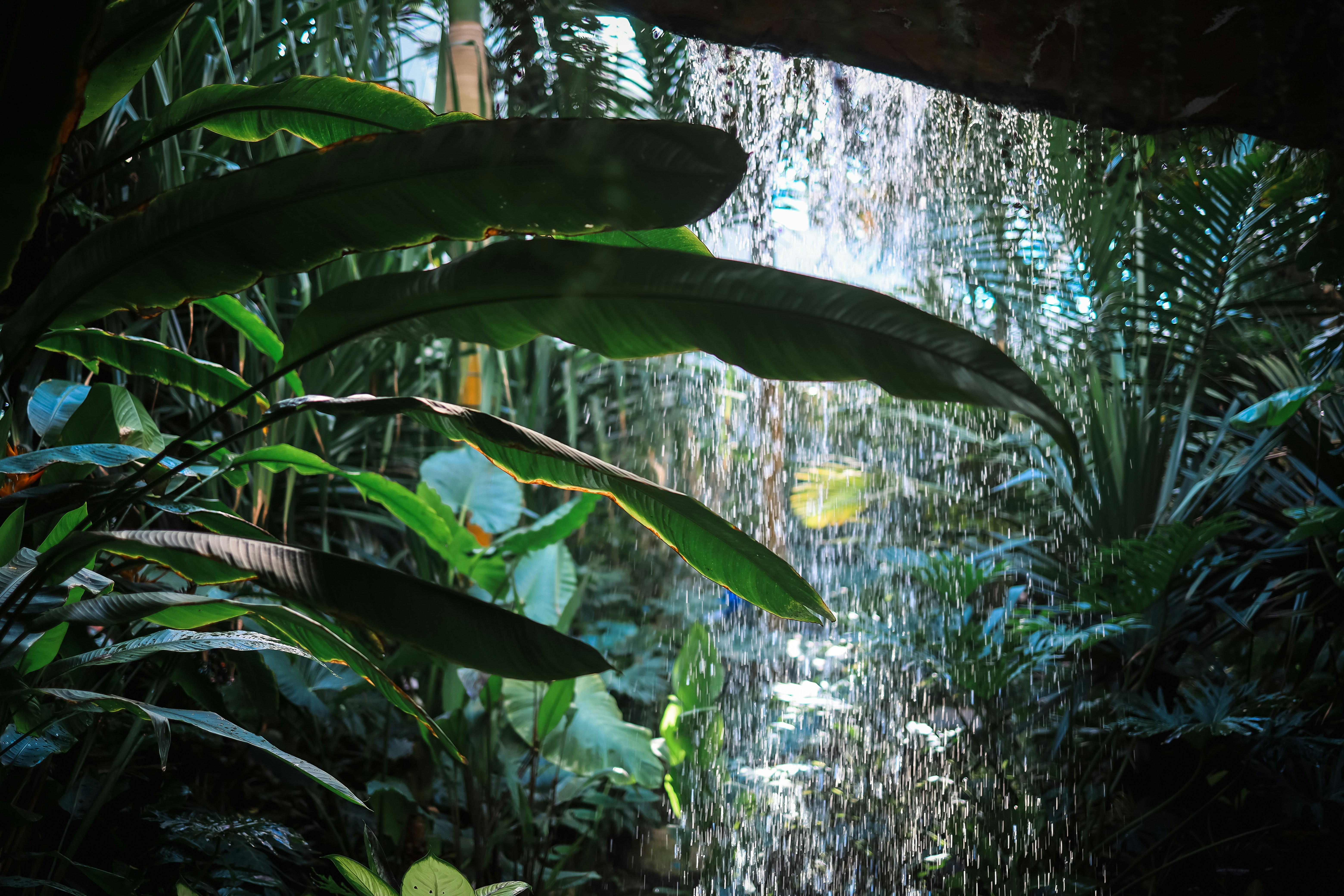 Photo by soflightsto