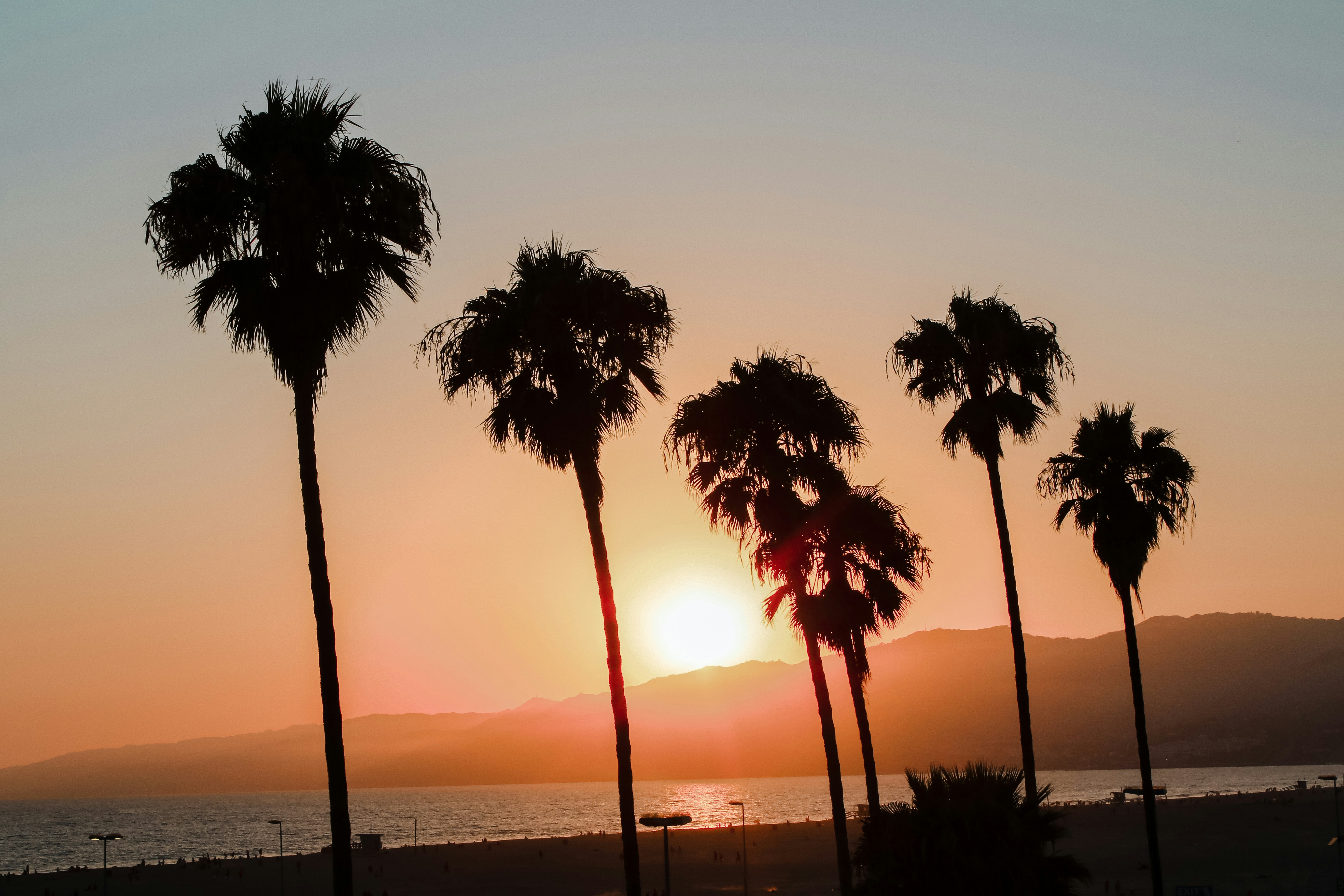 Photo by mahbahblaph