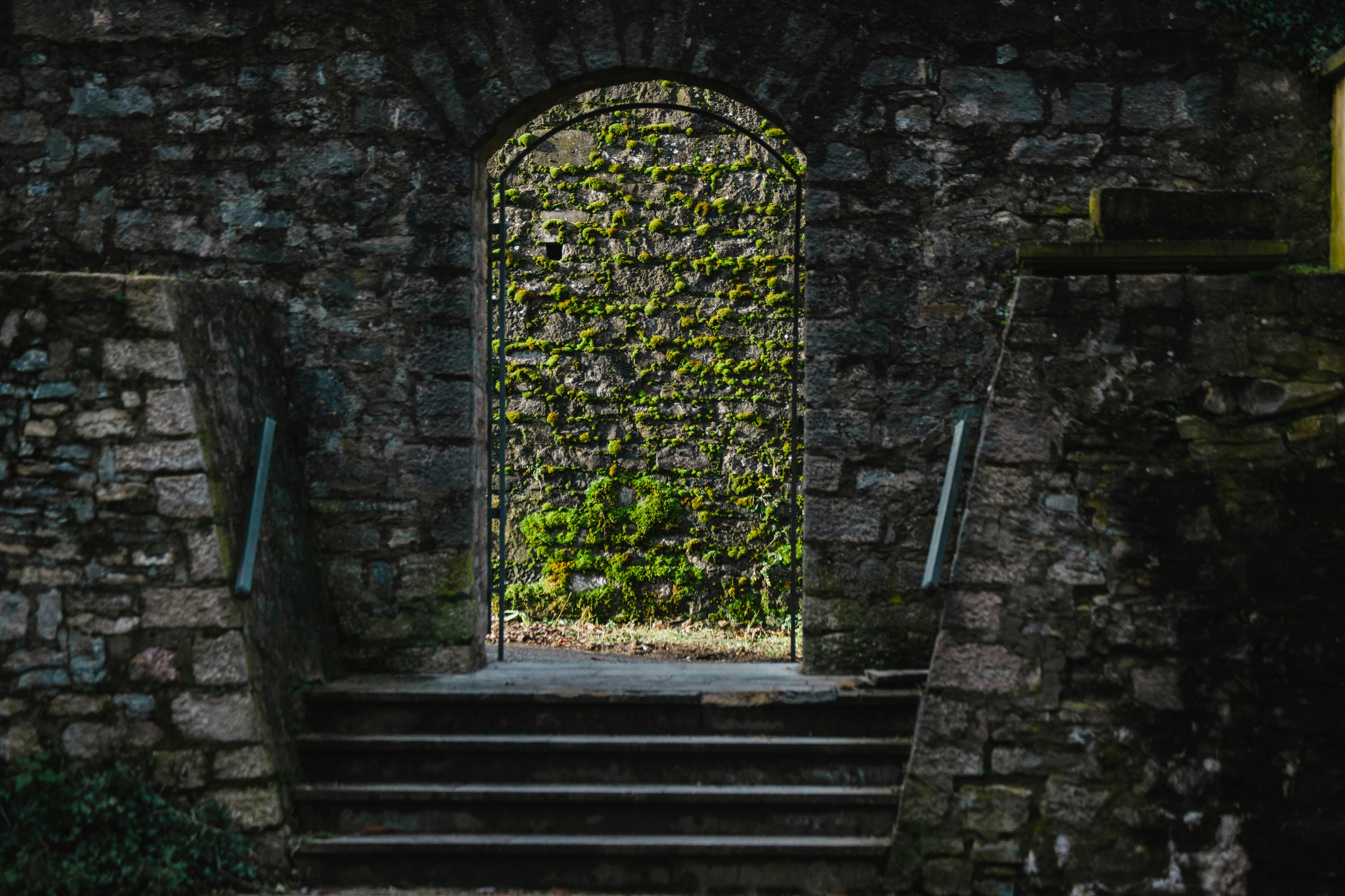 Photo by just_another_try