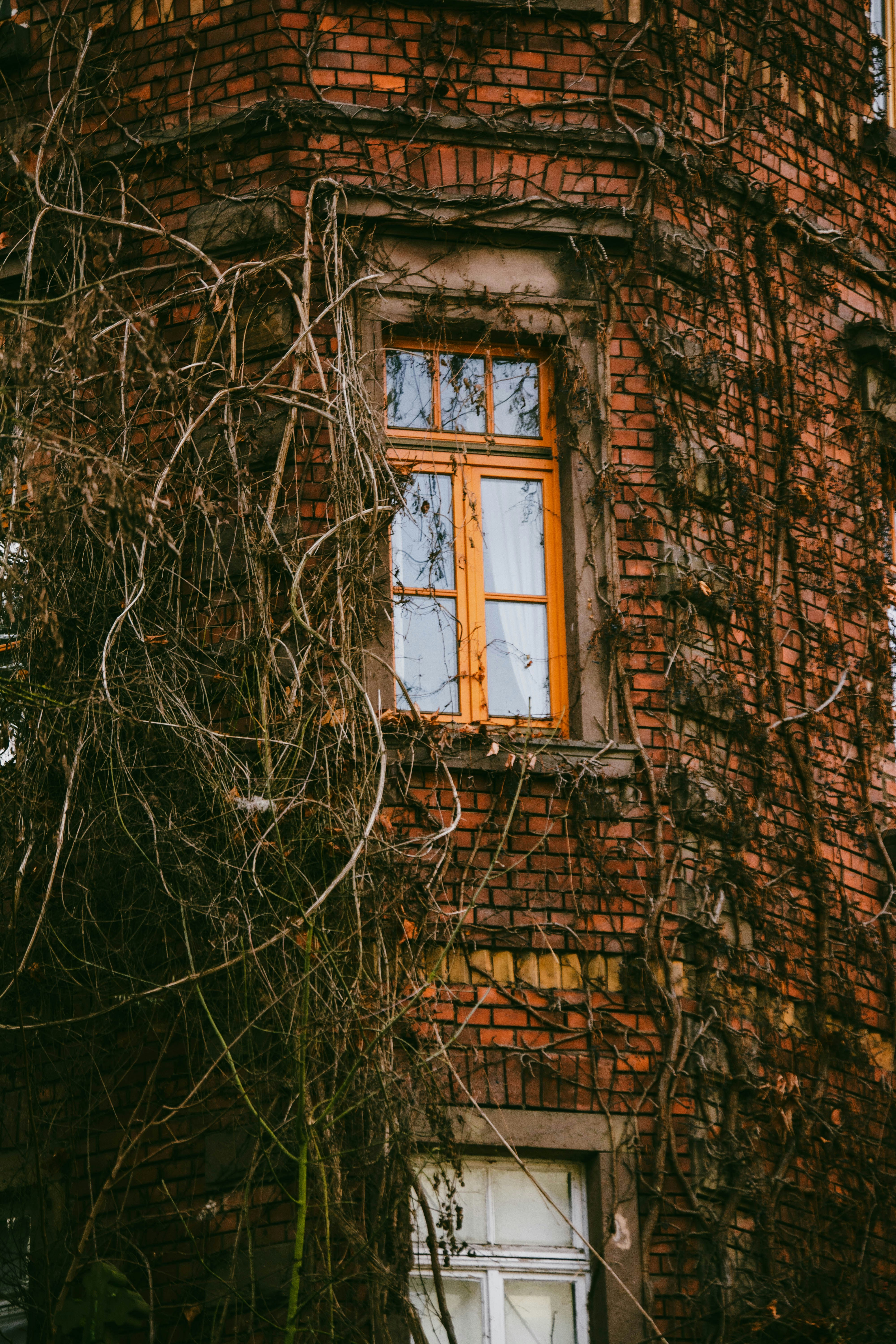 Photo by just_another_try