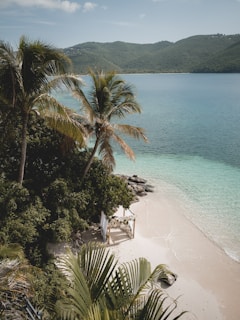 A serene tropical beach scene featuring palm trees gently swaying in the breeze over a secluded, sandy shore. The clear turquoise waters lap gently against the sand, and lush green hills rise in the background. A small, simple wooden structure draped with white fabric is nestled among the trees, providing a tranquil spot for relaxation.