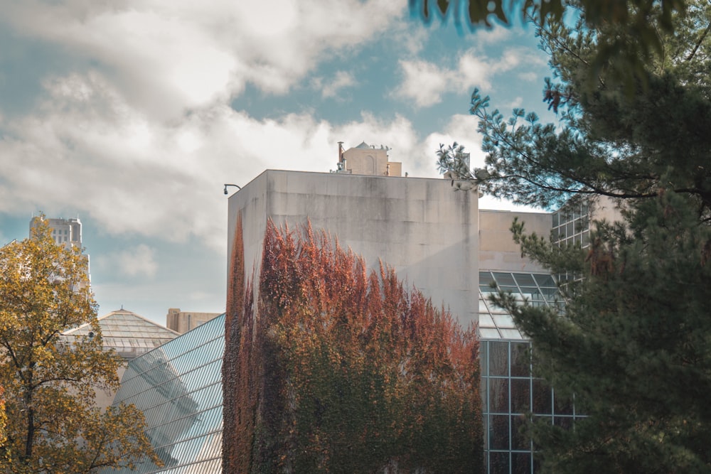 a building with a lot of windows and trees