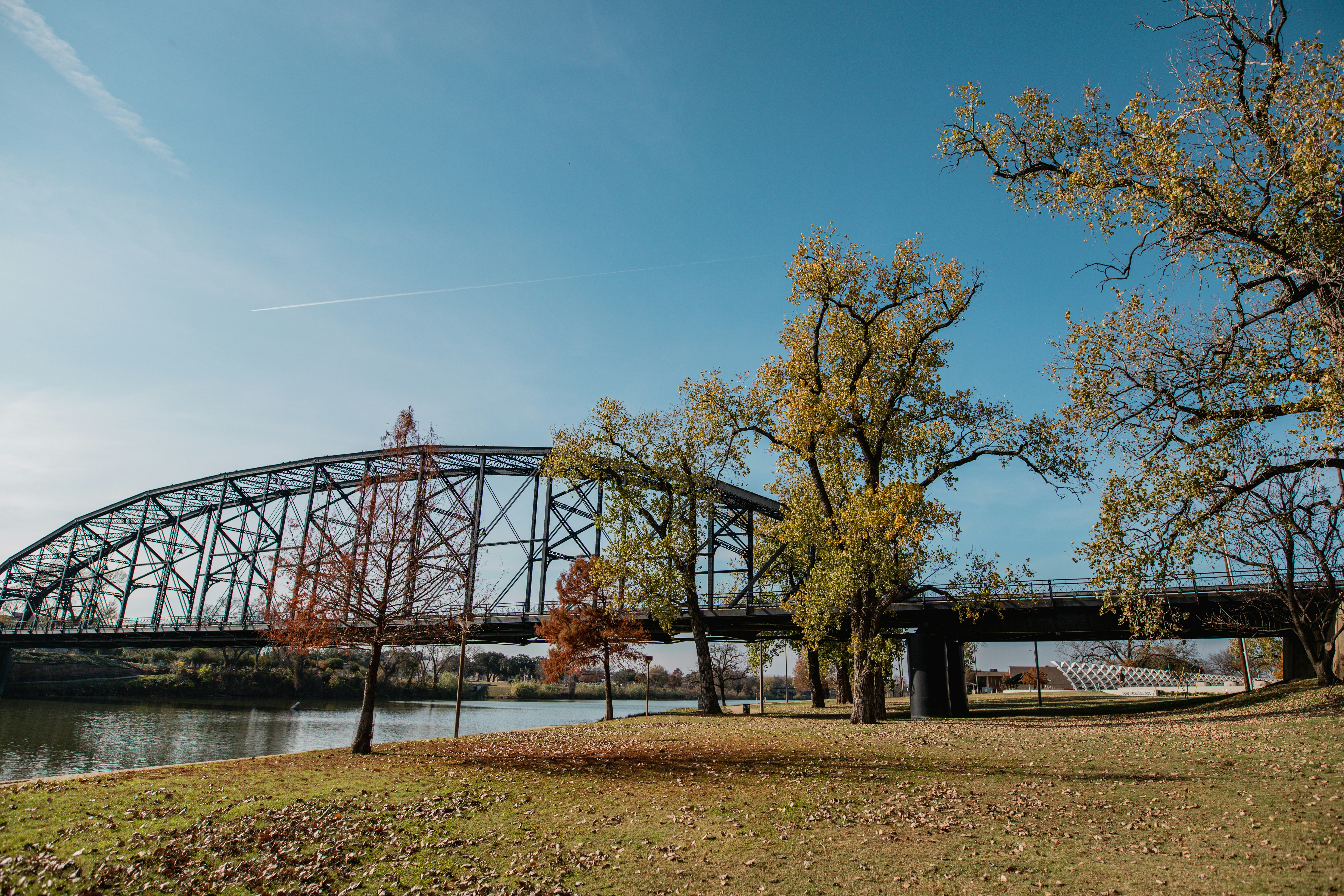 Photo by fallonmichaeltx