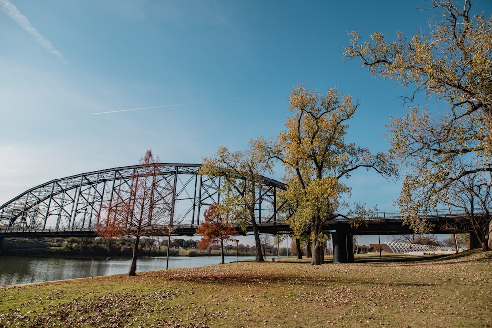 a bridge spanning over a river with trees in the foreground