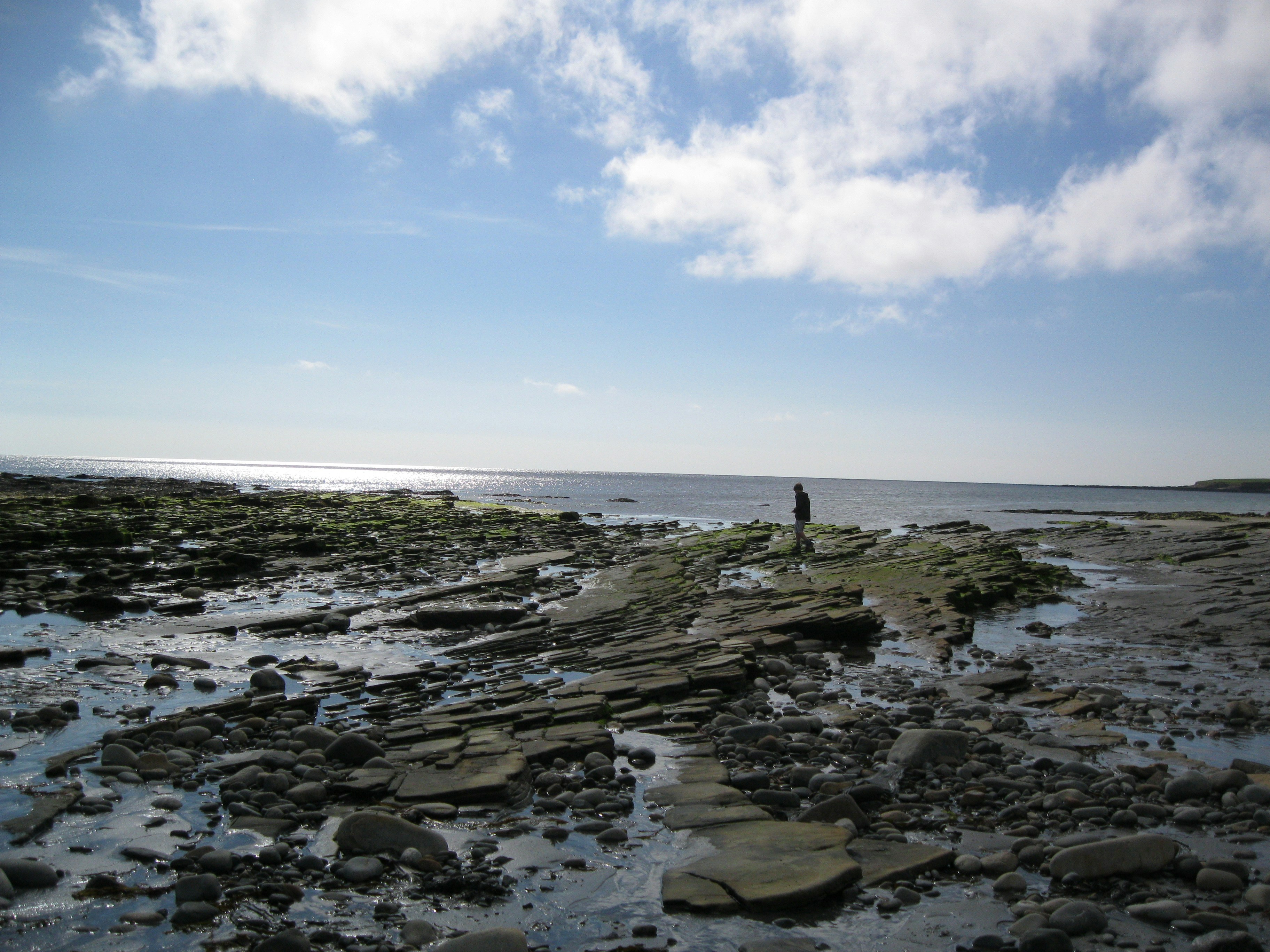 Photo by jordisunshine