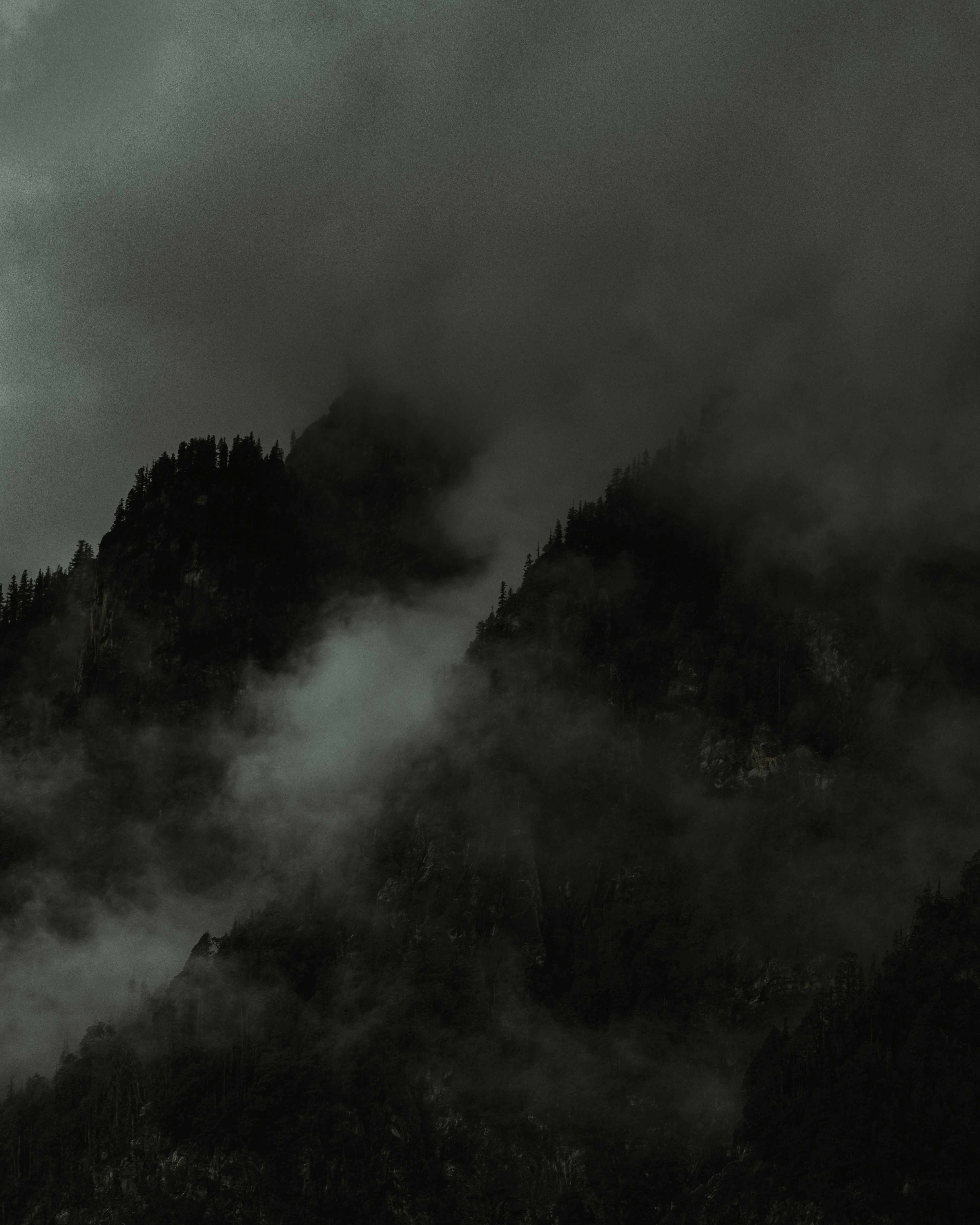 Photo by thefinalshot