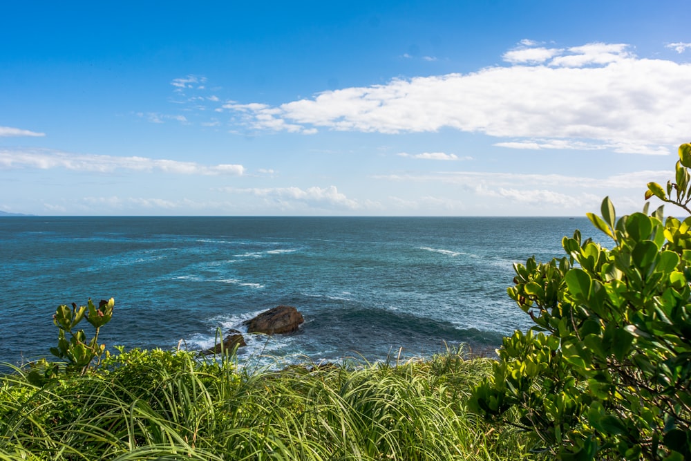 a body of water surrounded by lush green vegetation