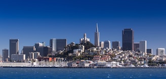 A panoramic view of Dubai Marina with yachts and skyscrapers.