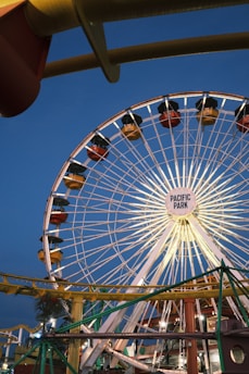 A Ferris wheel offering stunning views at the amusement park.