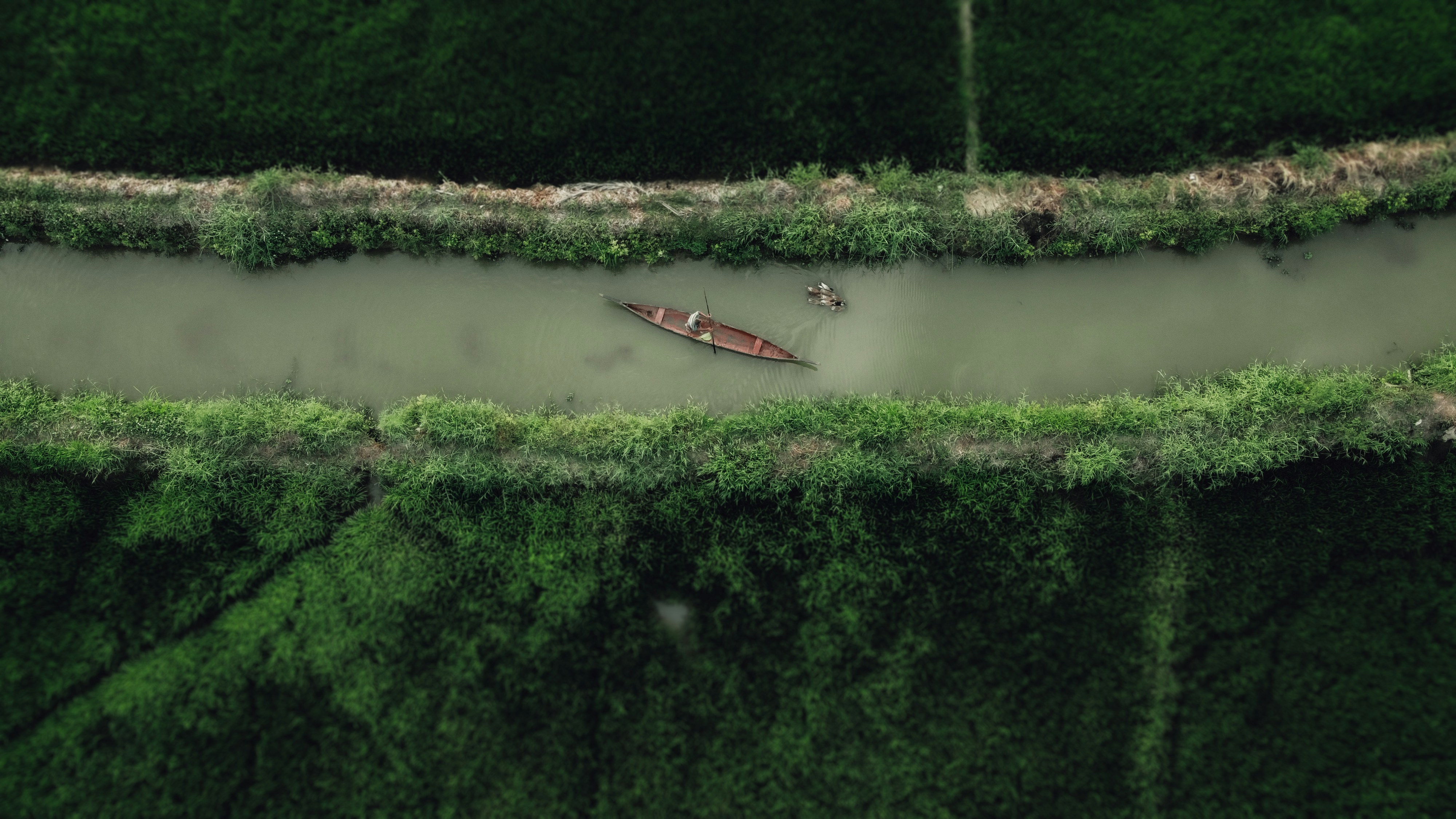 Canoe on narrow canal at dawn in Alleppey backwaters — Kerala photography expedition