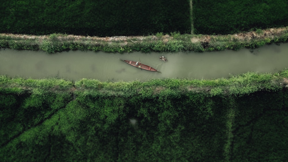 a boat floating on top of a river next to a lush green forest