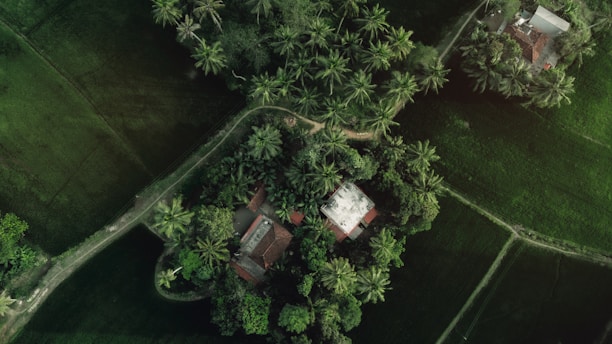 Aerial view of the Reserva do Ibirá land plots surrounded by lush greenery in Serrana.