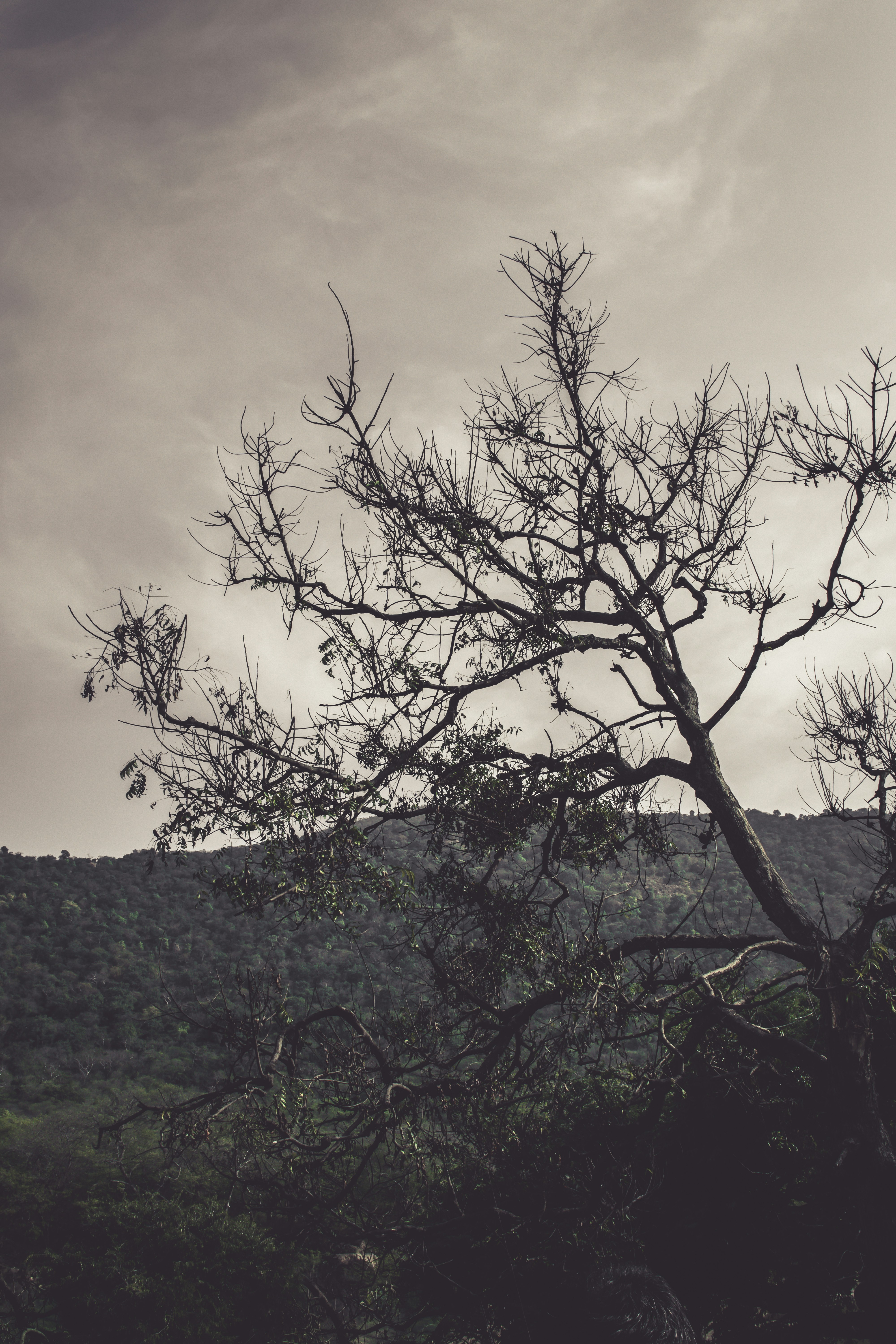 Photo by sameer_srivastava