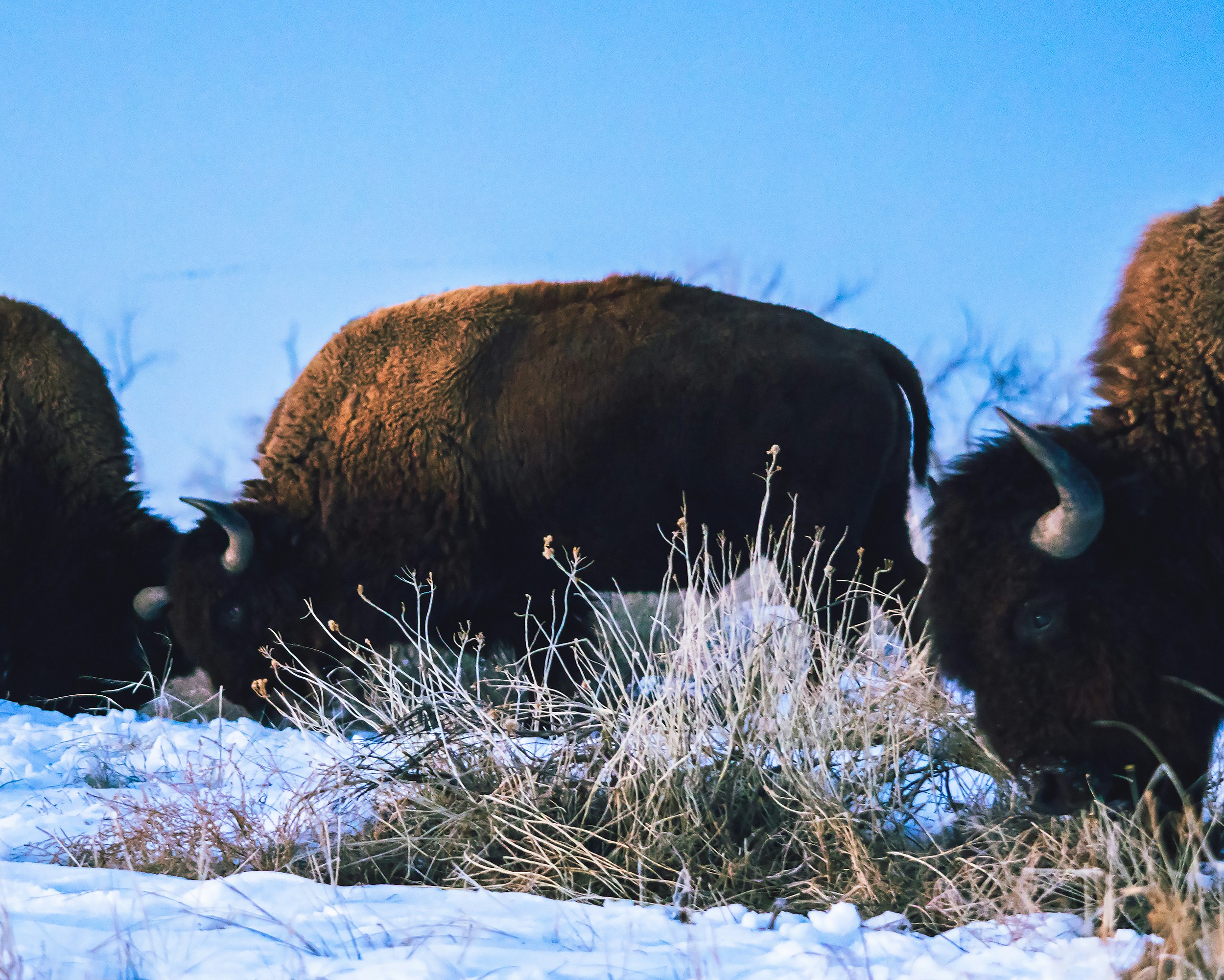 Photo by andyasmarketing