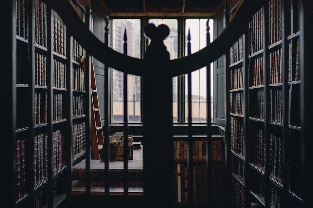 a person standing in front of a library filled with books