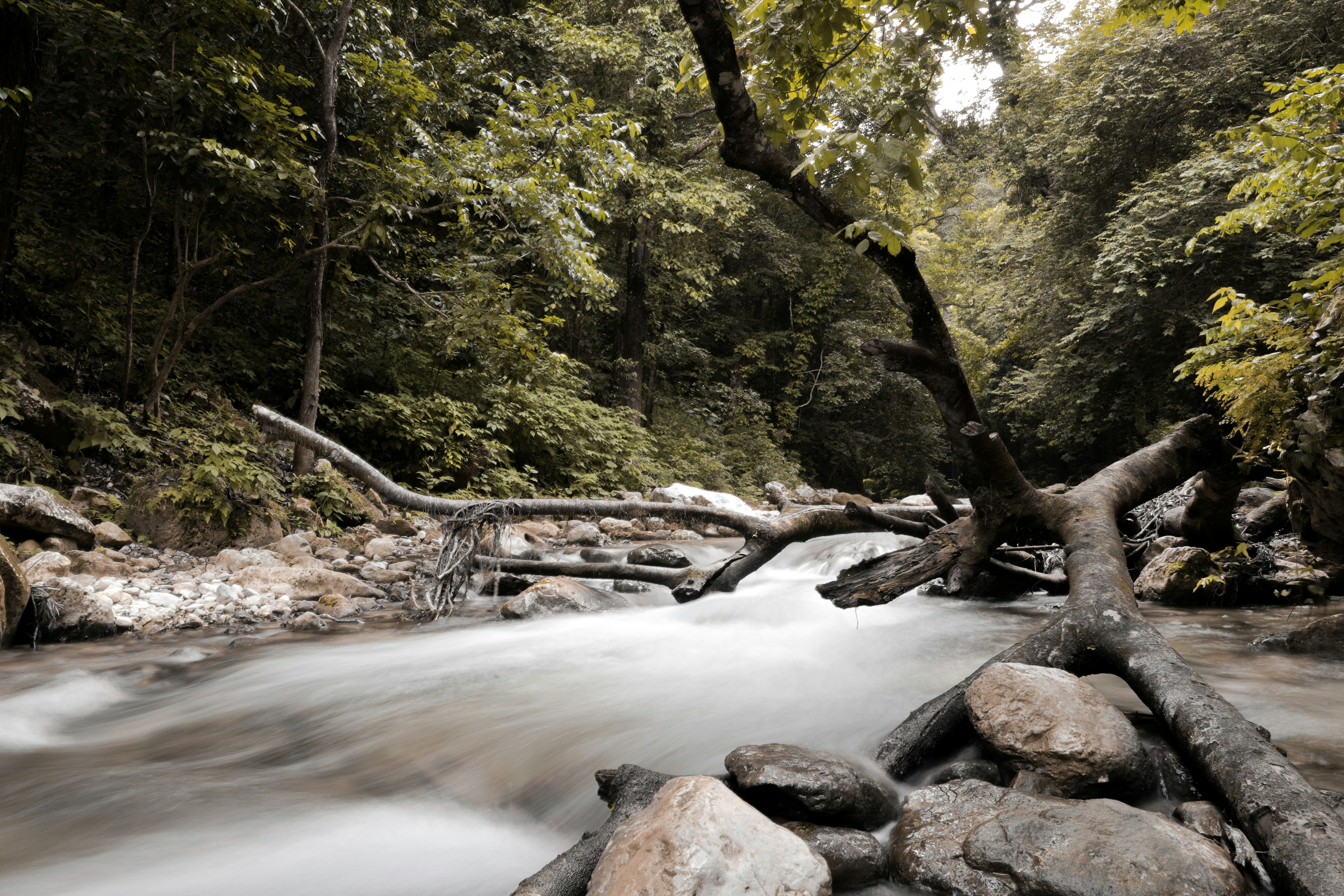 Photo by deniosrphoto
