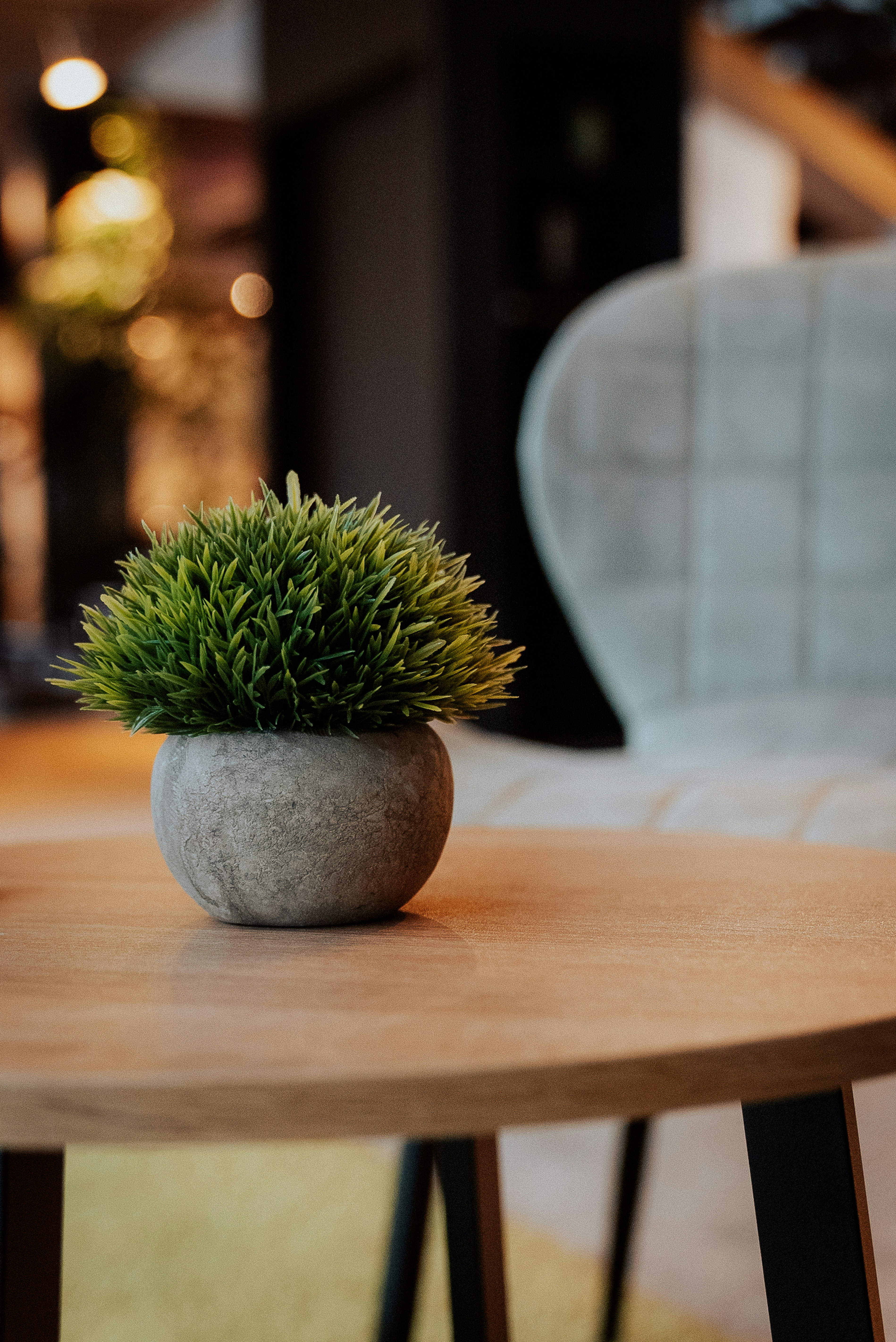 a small plant sitting on top of a wooden table