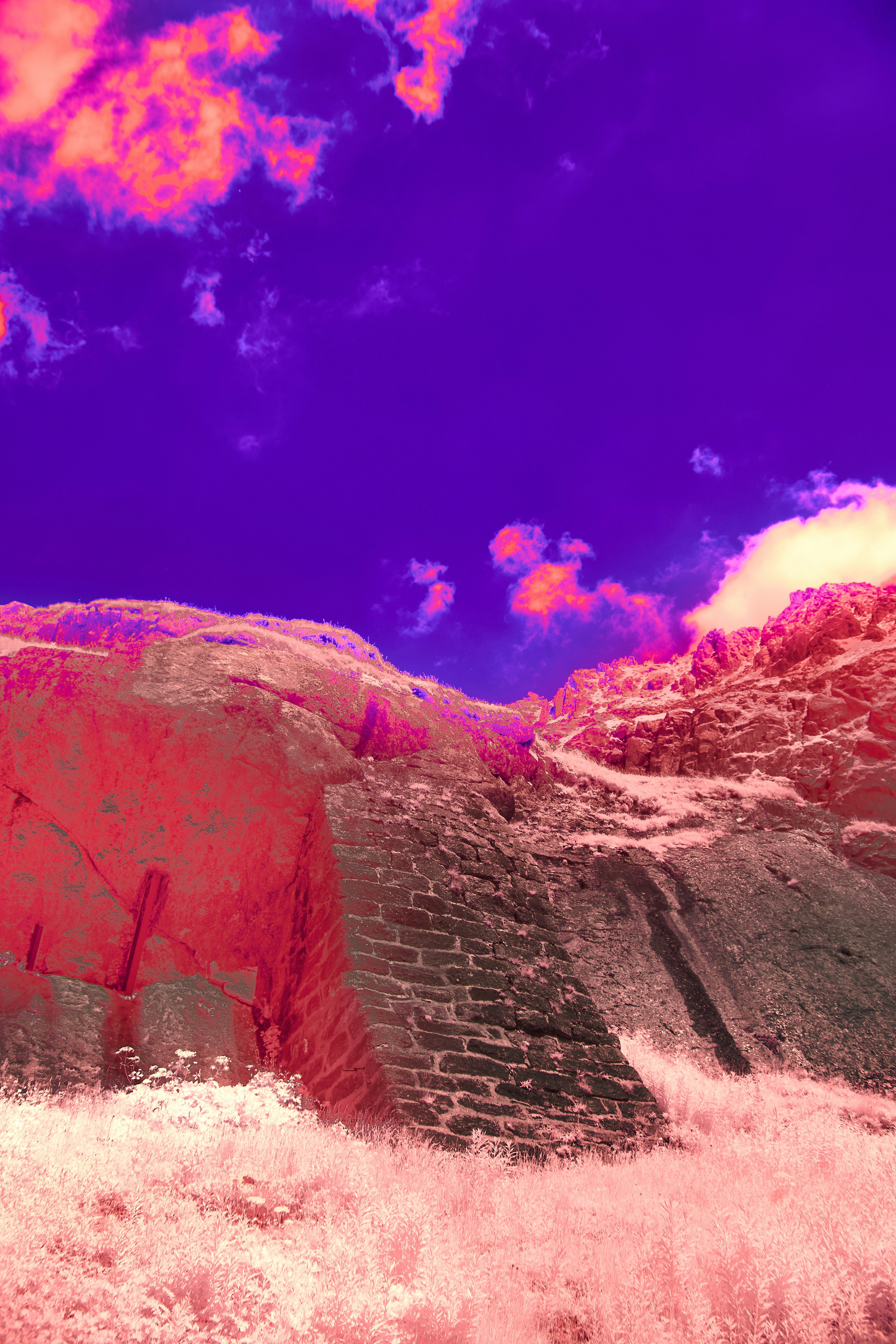 Photo by wolfgang_hasselmann