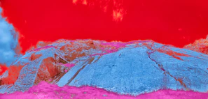 An artistic depiction of an alien landscape with strange plants and a double sunset.