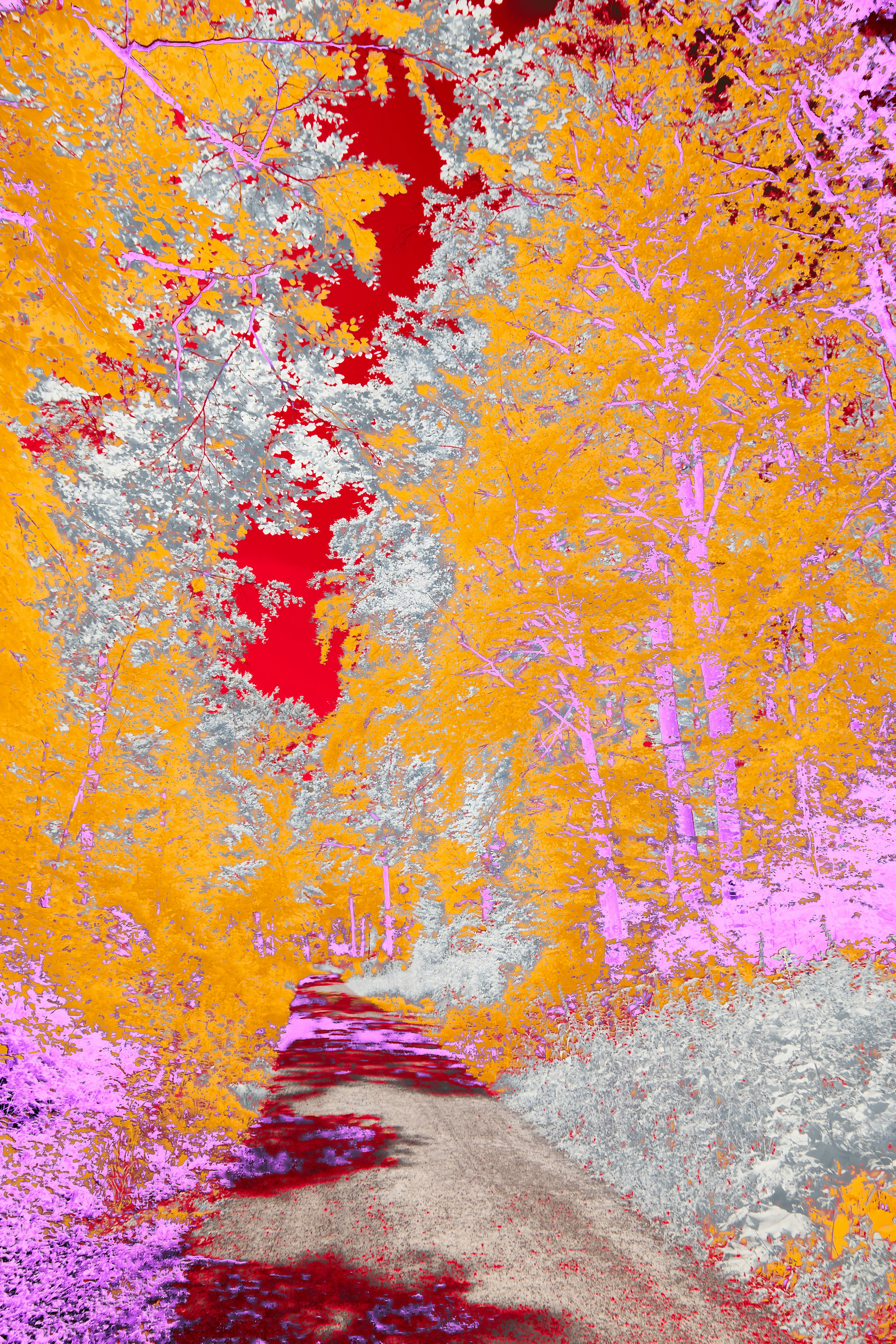 Photo by wolfgang_hasselmann