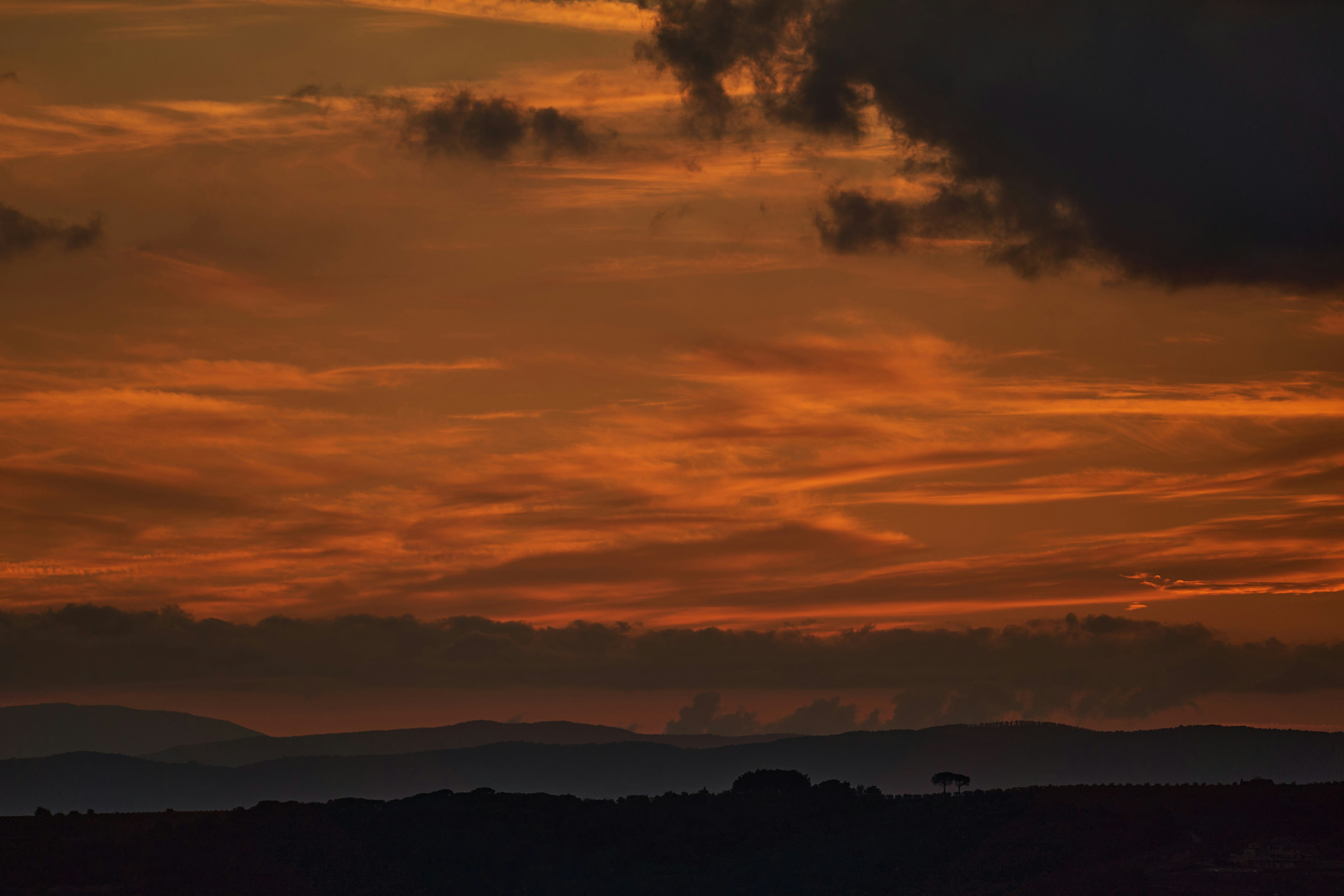 Photo by wolfgang_hasselmann