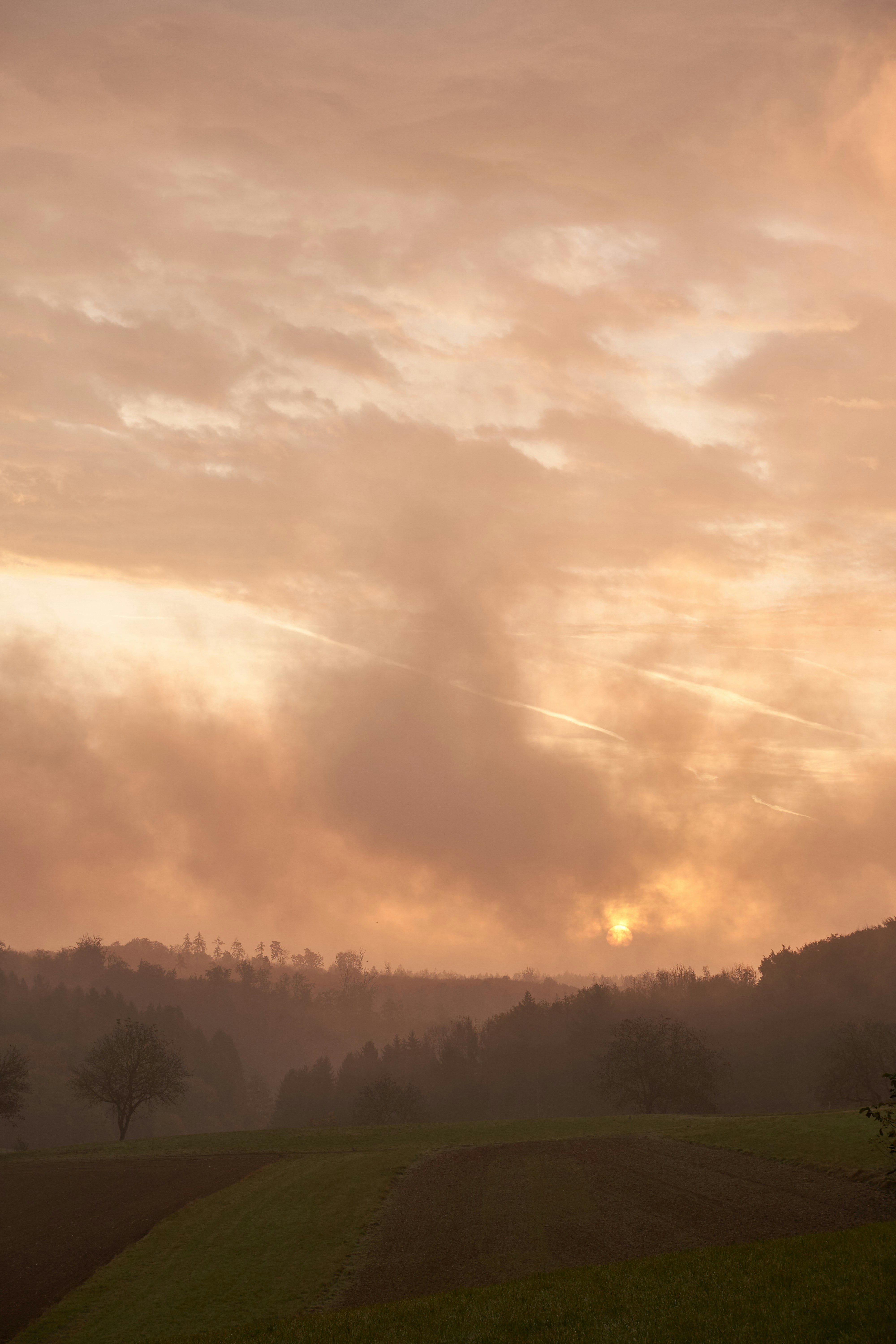 Photo by wolfgang_hasselmann