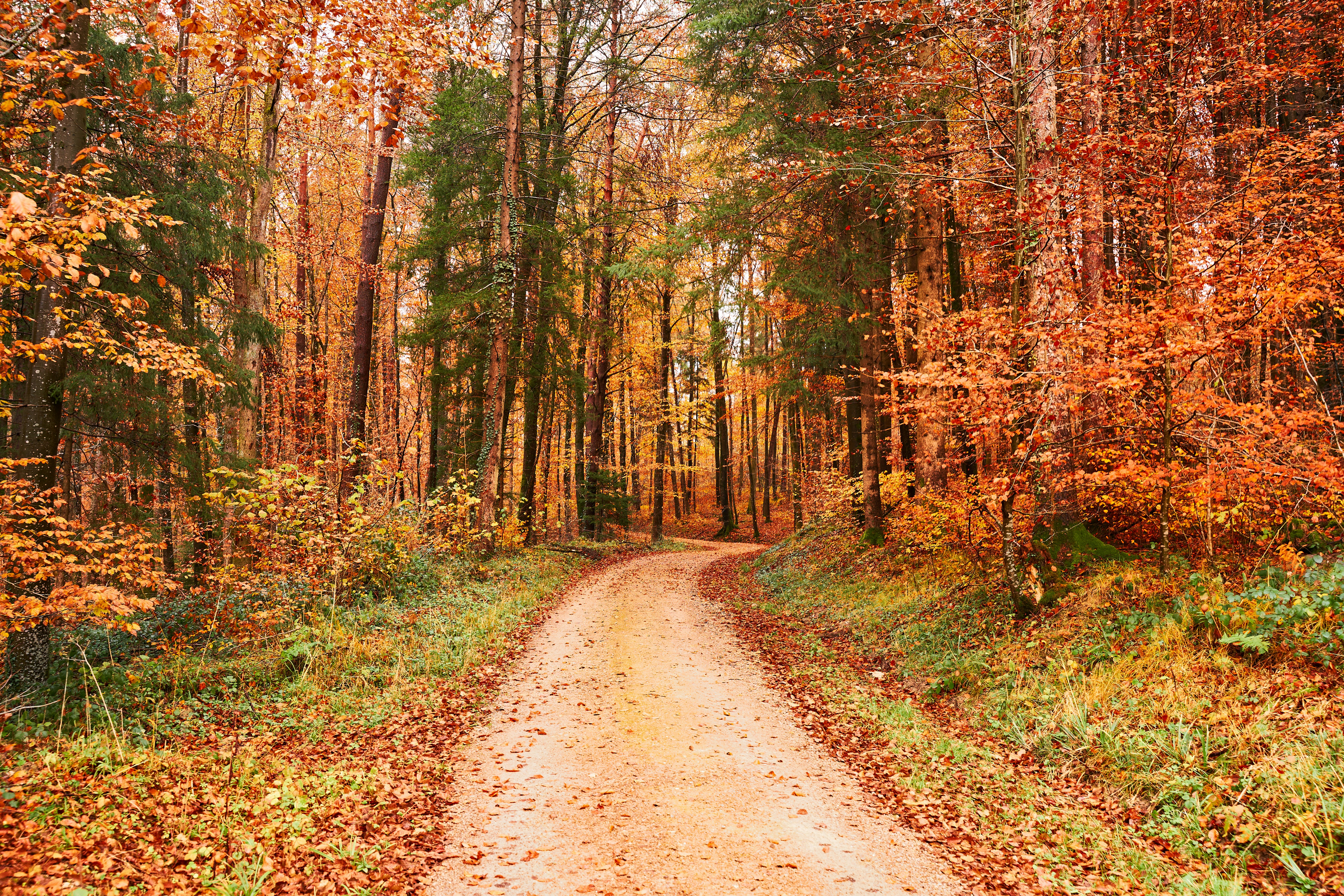 Photo by wolfgang_hasselmann