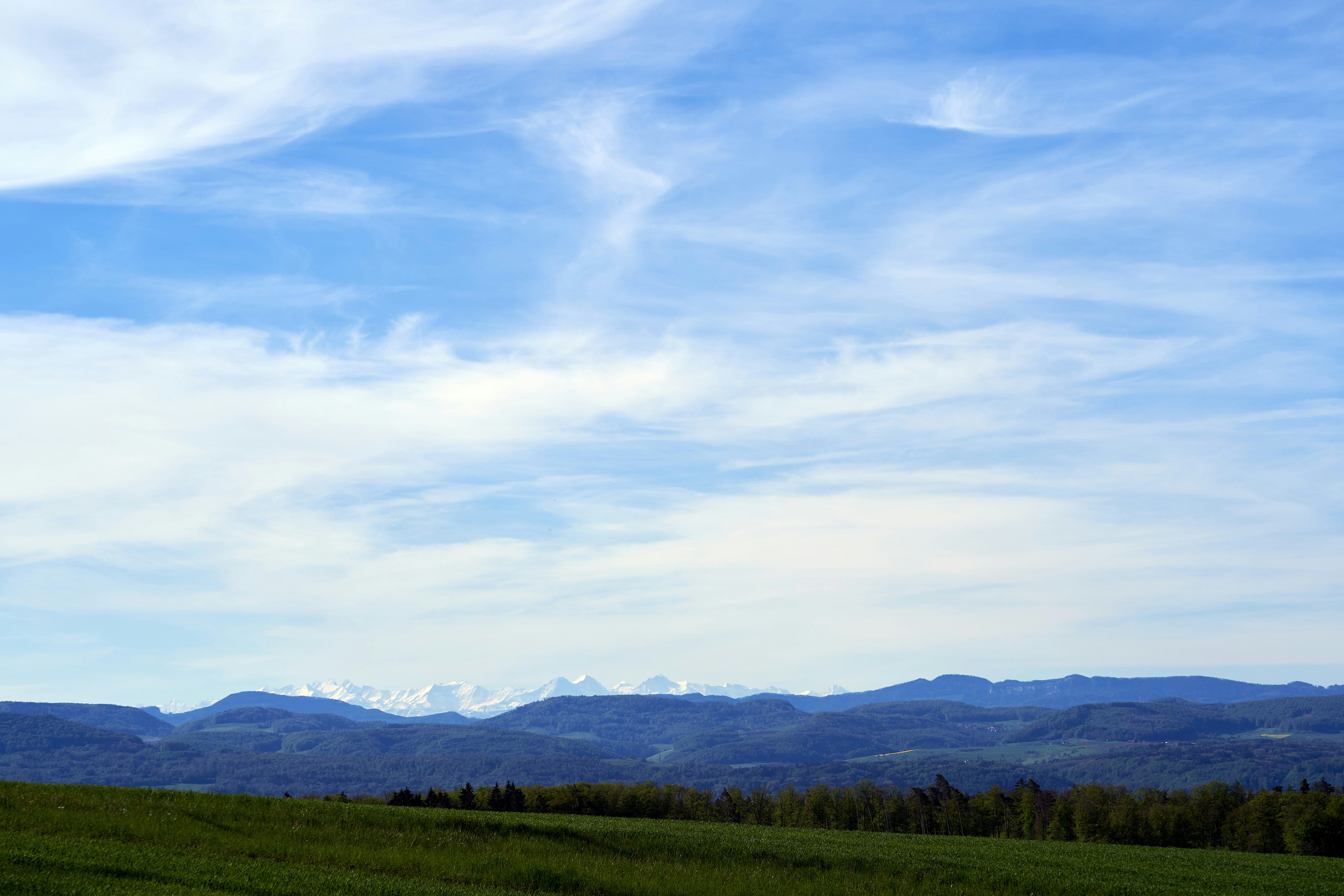 Photo by wolfgang_hasselmann