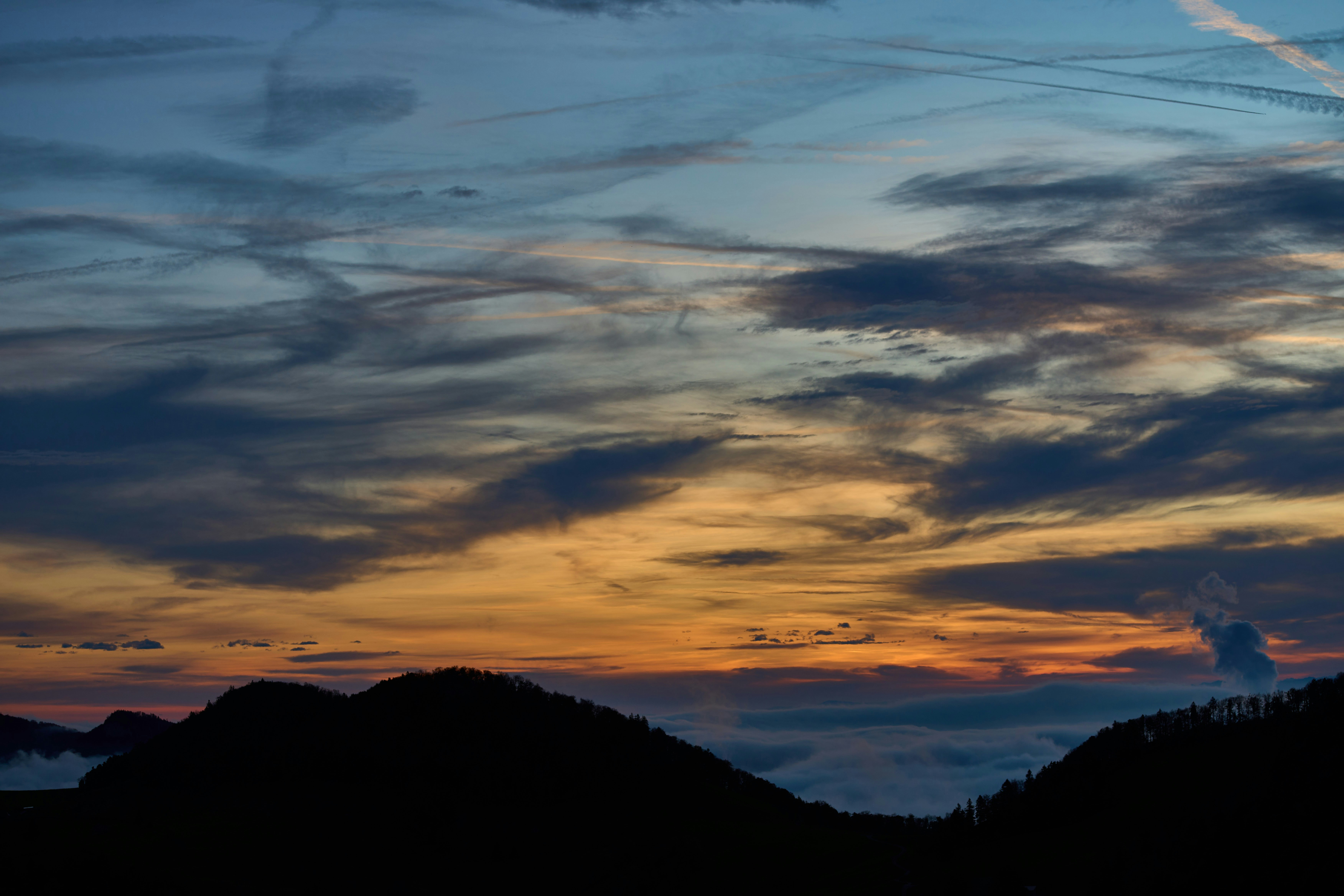 Photo by wolfgang_hasselmann