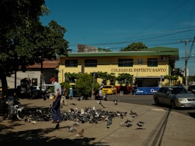 In an urban setting, numerous pigeons gather on a paved area as a person wearing a red cap and striped shirt walks past. Behind, a yellow building with a green roof displays the sign 'Colegio El Espíritu Santo'. Several trees and shrubs add greenery to the scene. Cars are parked along the street nearby, and there is a clear blue sky overhead.
