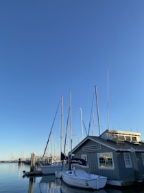 A calm marina with several sailboats docked near a gray wooden building, likely a sailing center. The masts of the boats extend into a clear blue sky, and the water is still, reflecting the boats and docks.