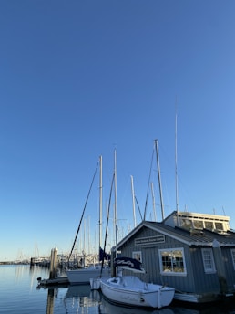 A calm marina with several sailboats docked near a gray wooden building, likely a sailing center. The masts of the boats extend into a clear blue sky, and the water is still, reflecting the boats and docks.