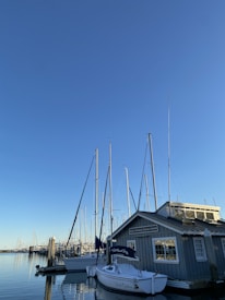 A calm marina with several sailboats docked near a gray wooden building, likely a sailing center. The masts of the boats extend into a clear blue sky, and the water is still, reflecting the boats and docks.
