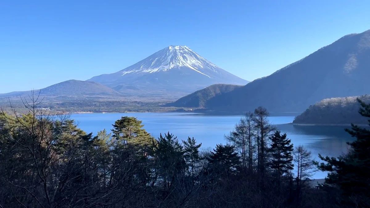 Mount Fuji above Lake Motosu on a clear day, seen over pines and bare trees