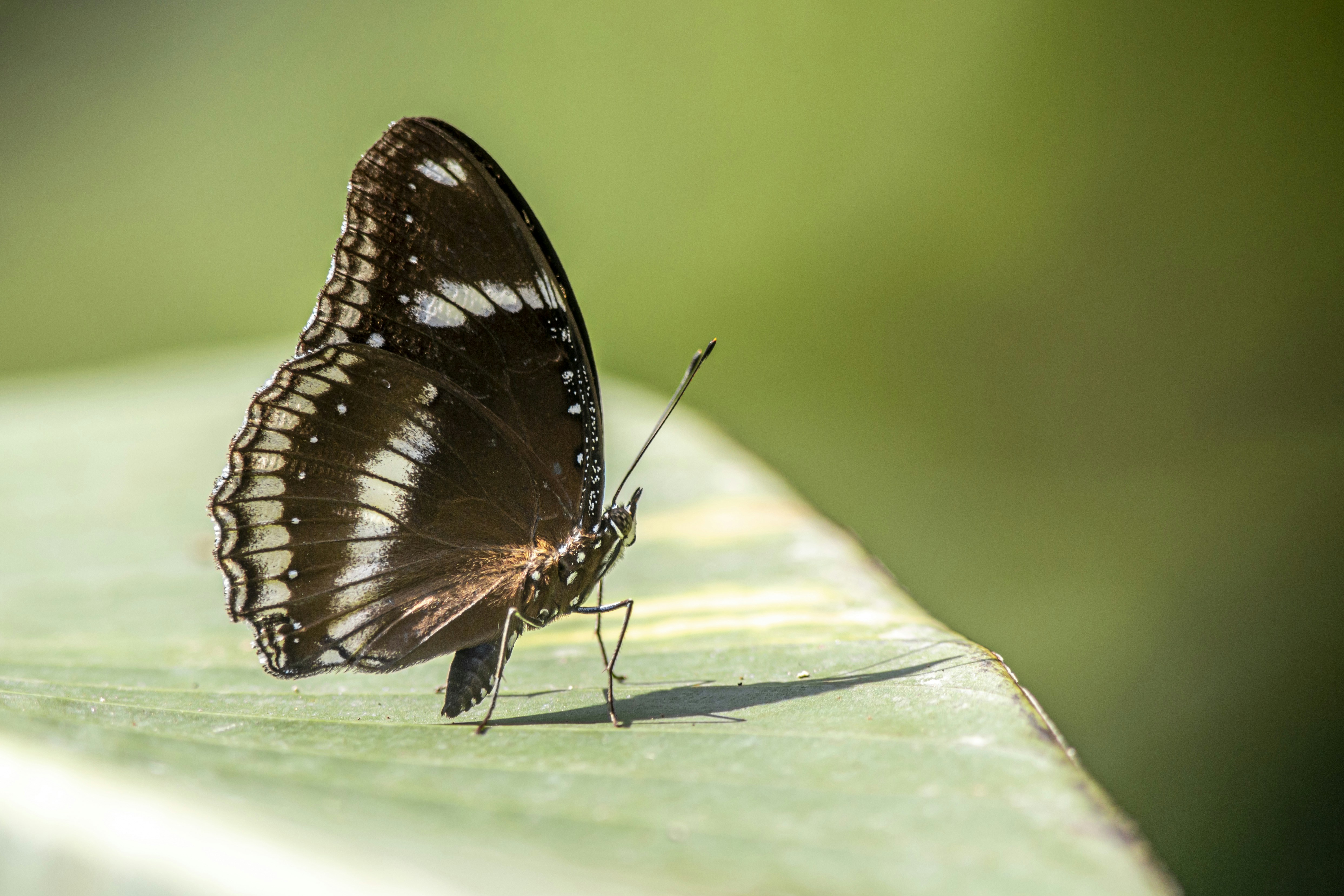 Photo by erik_karits