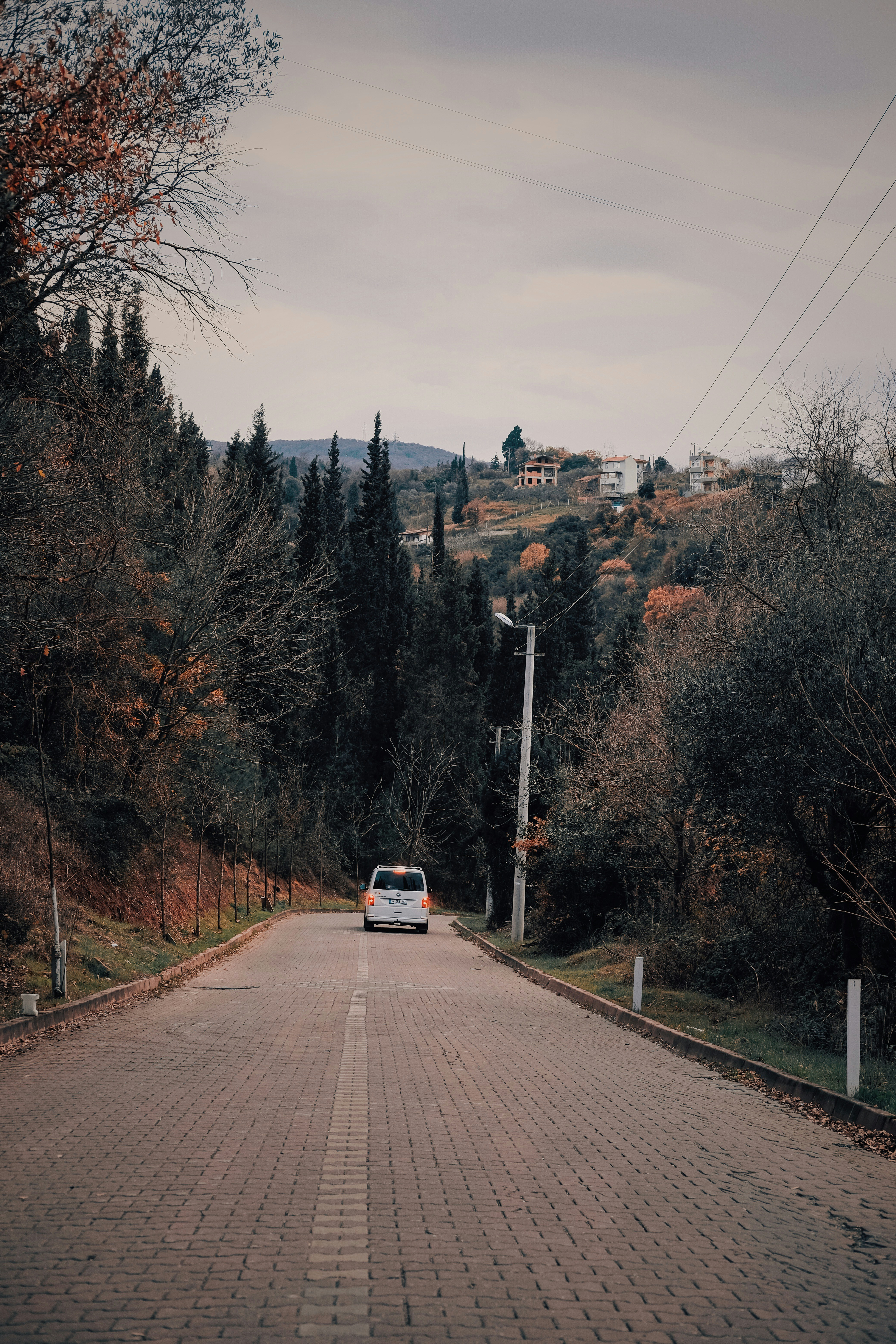 Photo by sserhattug