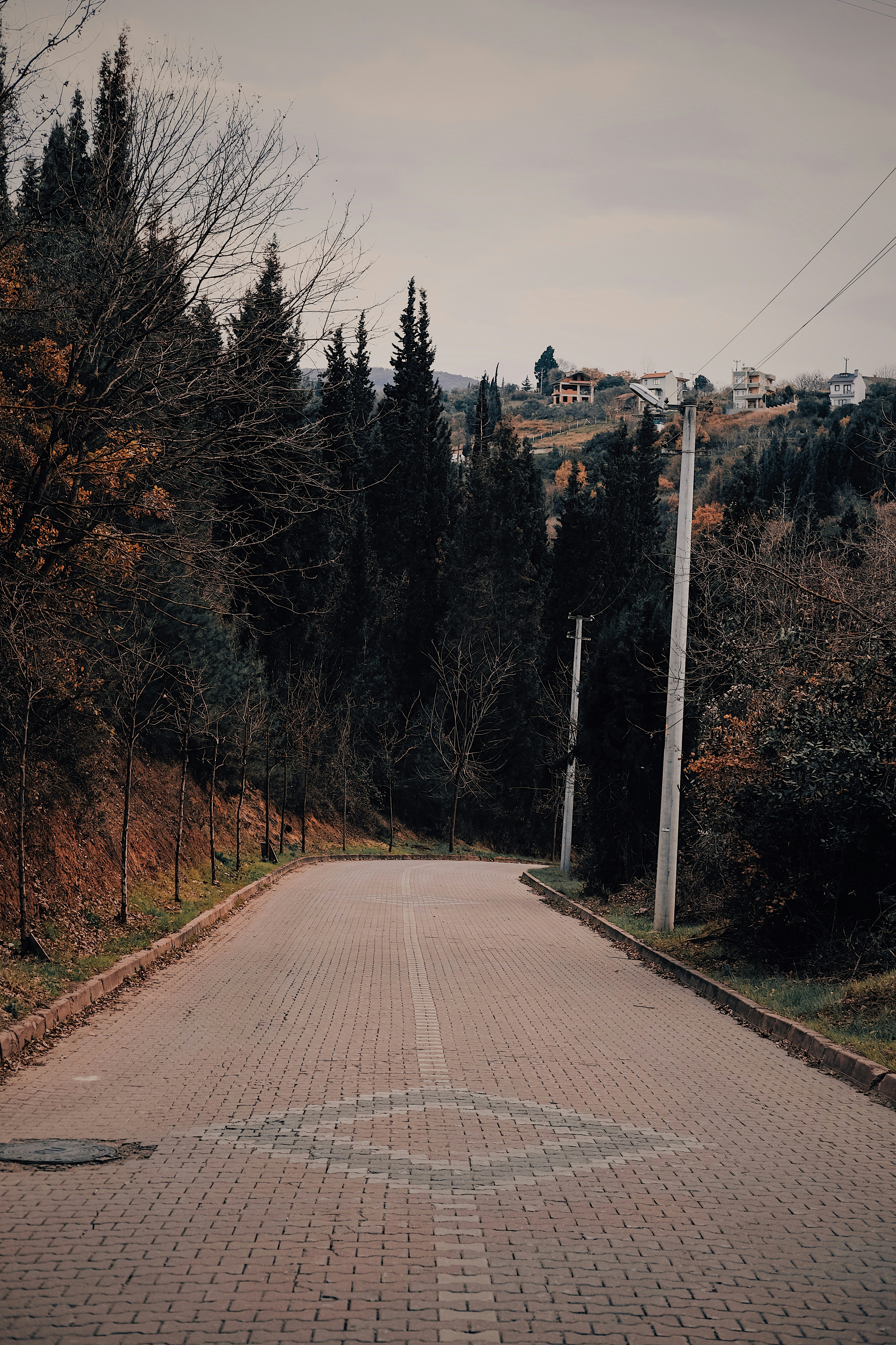 Photo by sserhattug