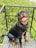 a black and brown dog sitting on top of a wooden bench