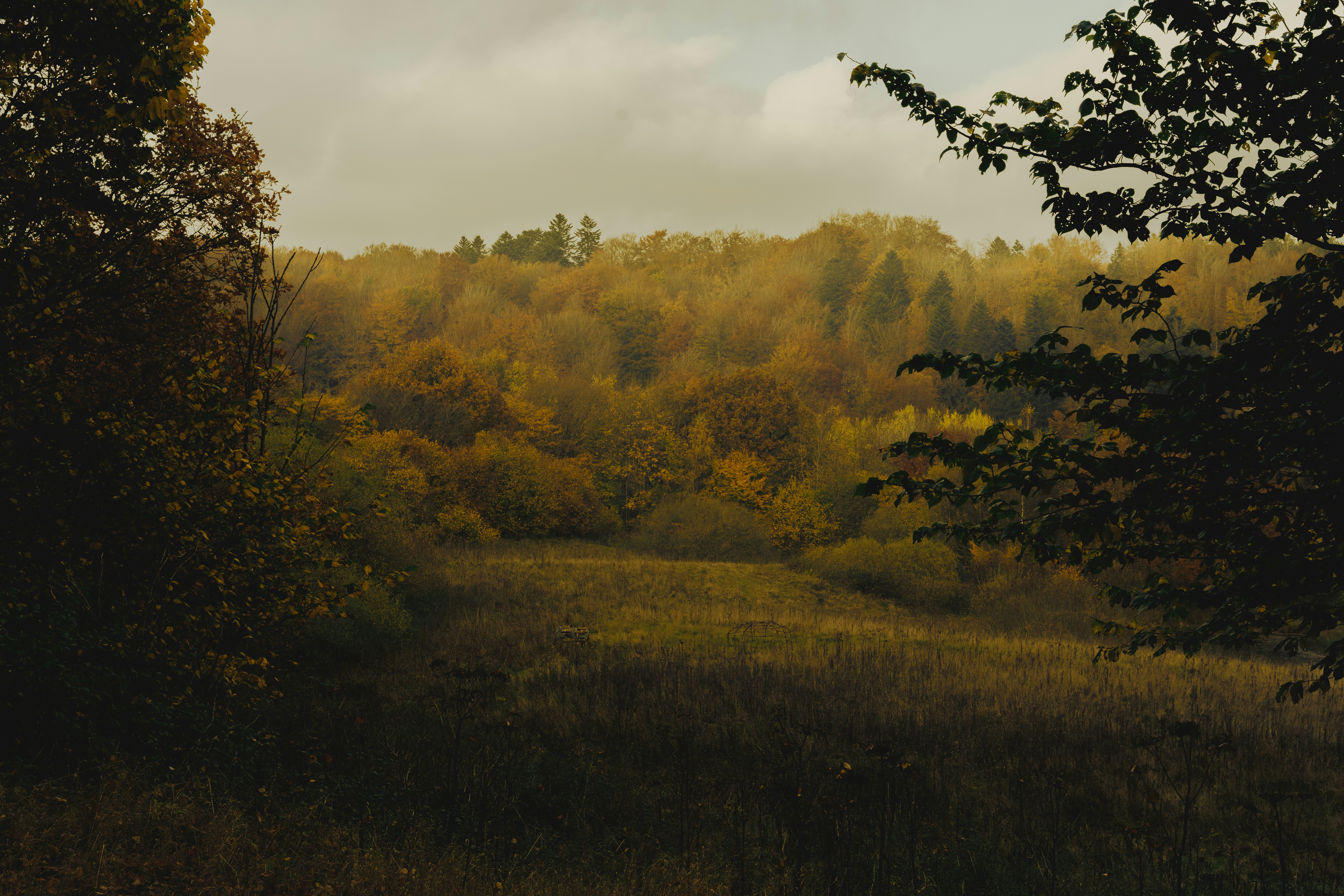 Photo by johannessejer