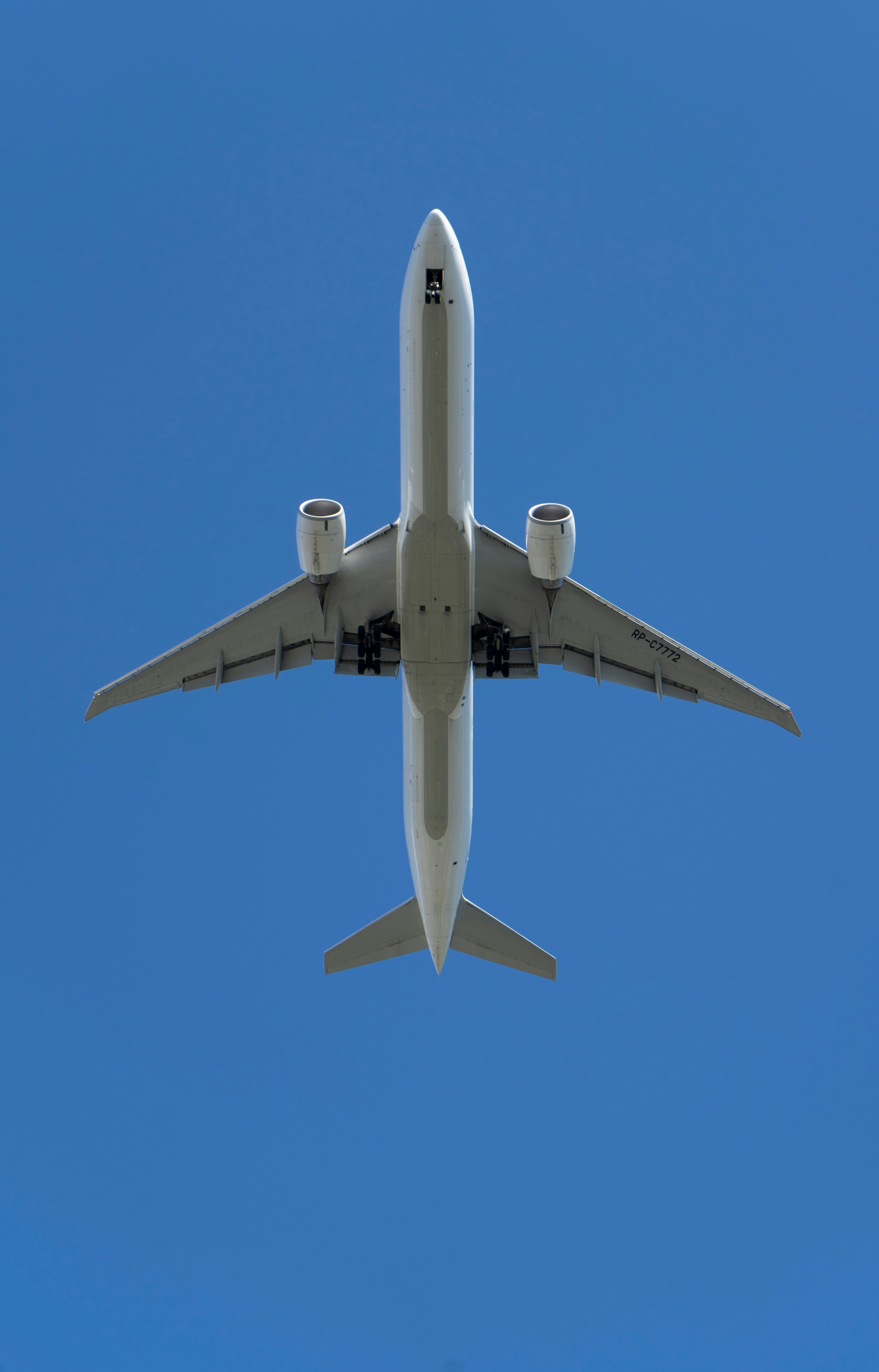 Photo by taylormortin