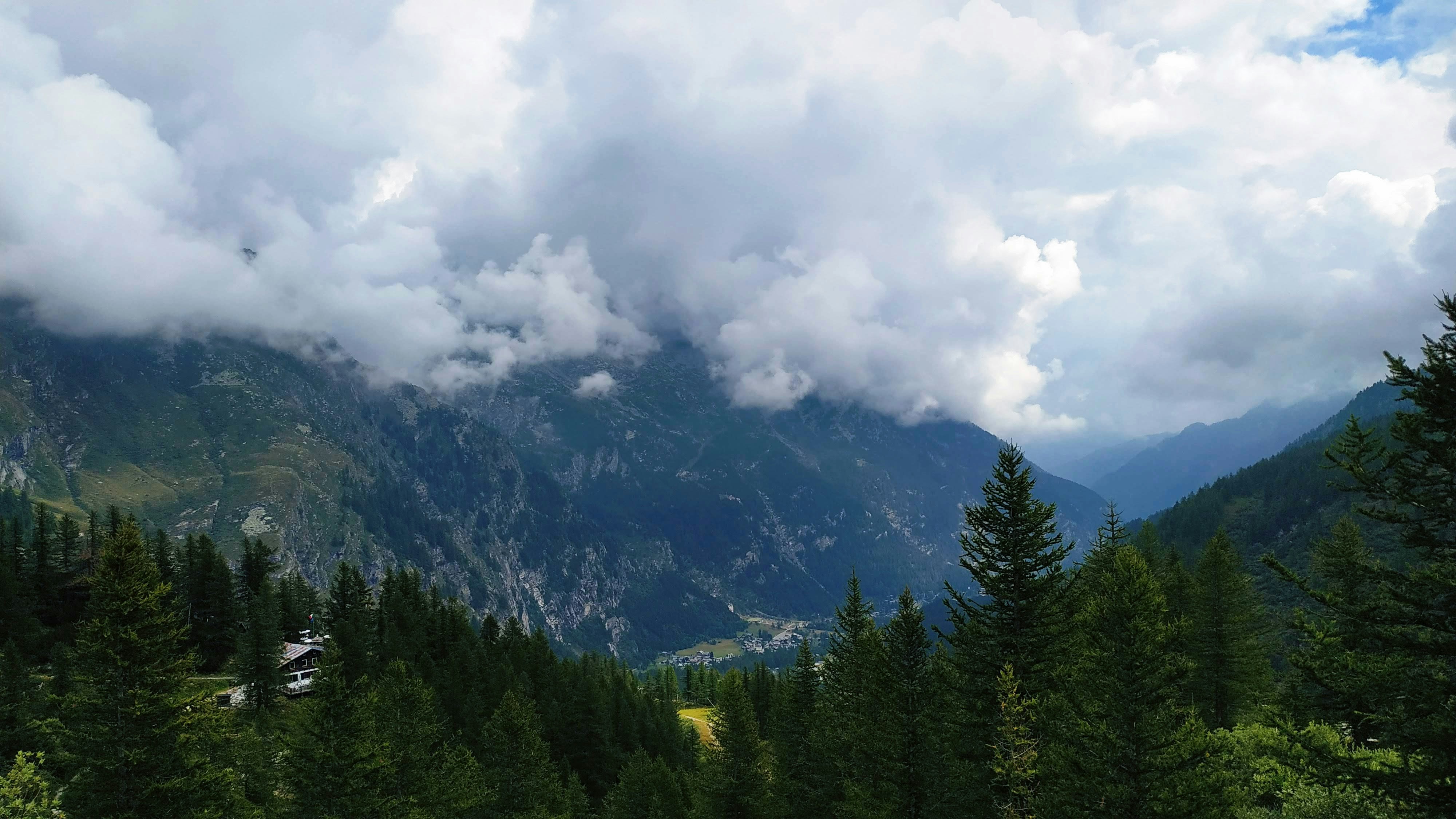 Photo by matilde_silva