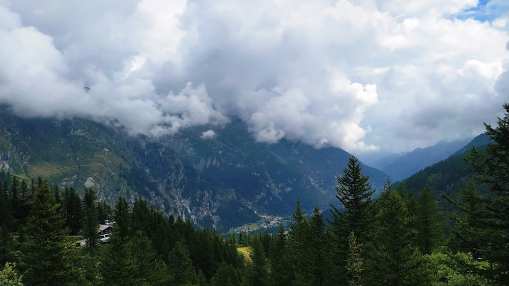 a view of a mountain range with trees in the foreground