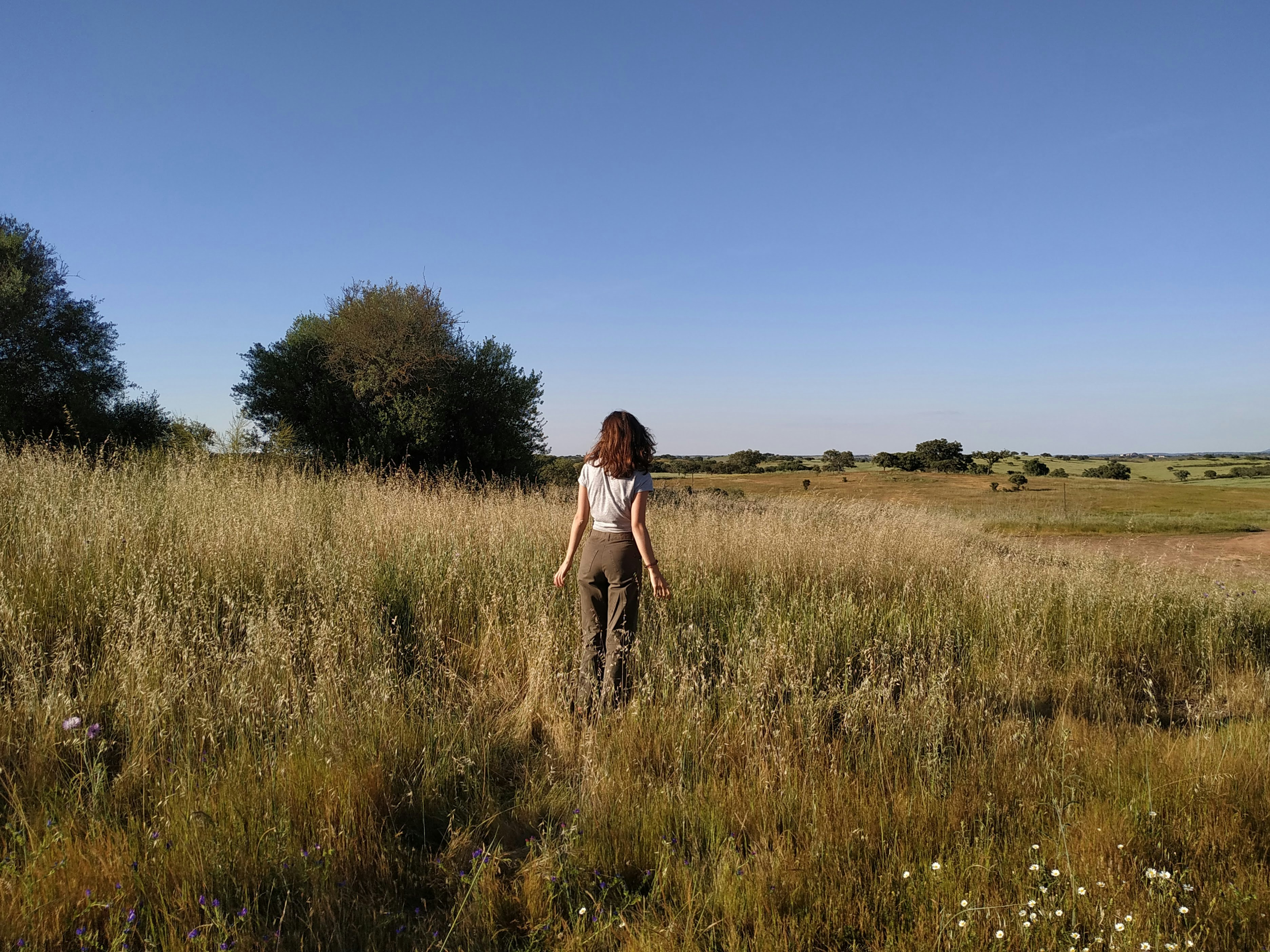 A woman standing in a field of tall grass photo – Free Animal Image on ...