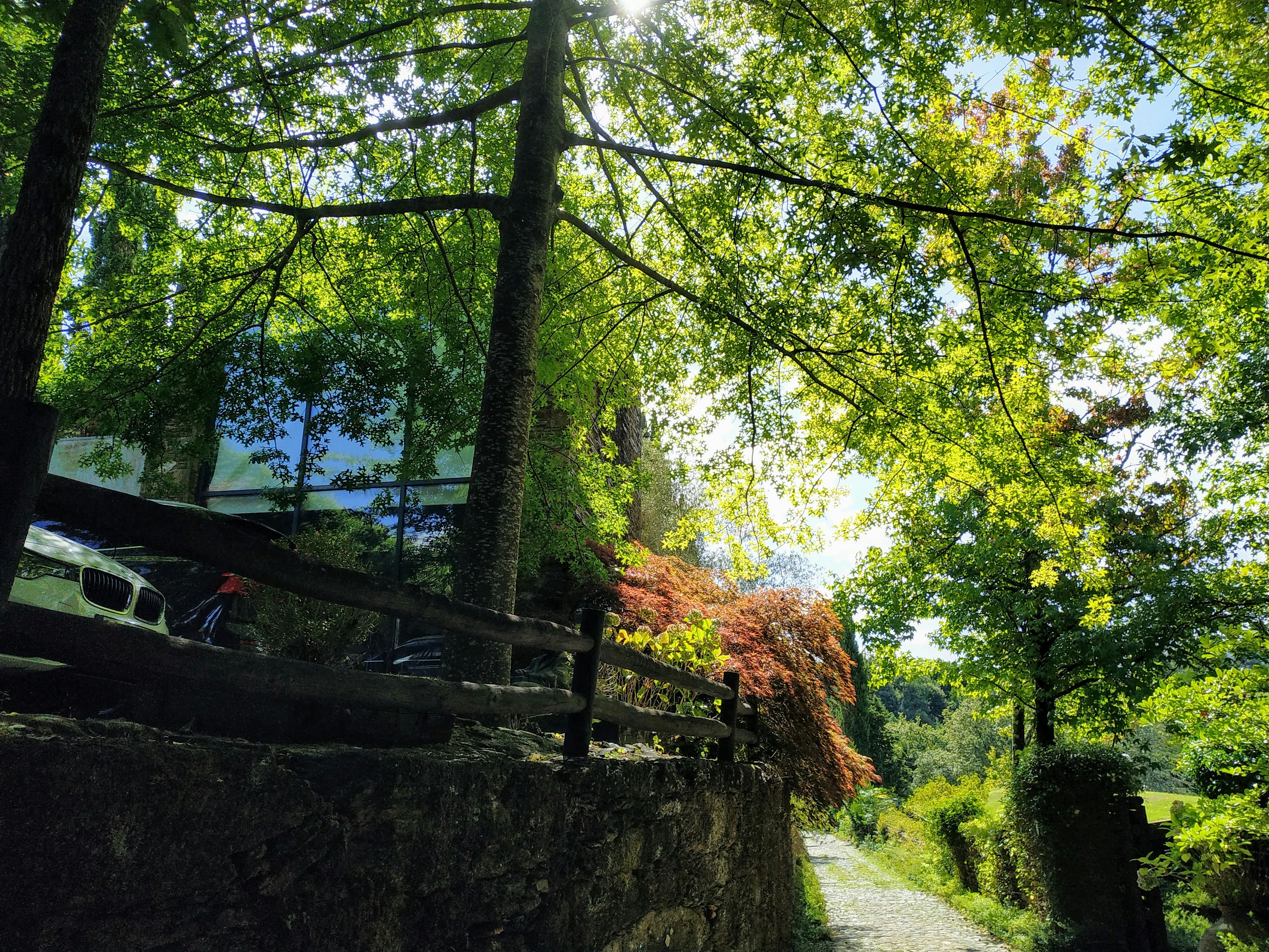 Photo by matilde_silva