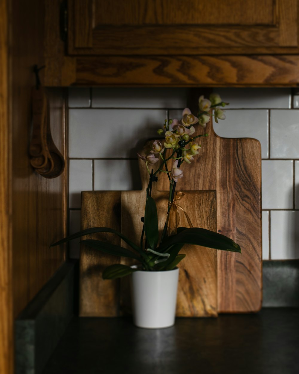 a potted plant sitting on top of a wooden cutting board