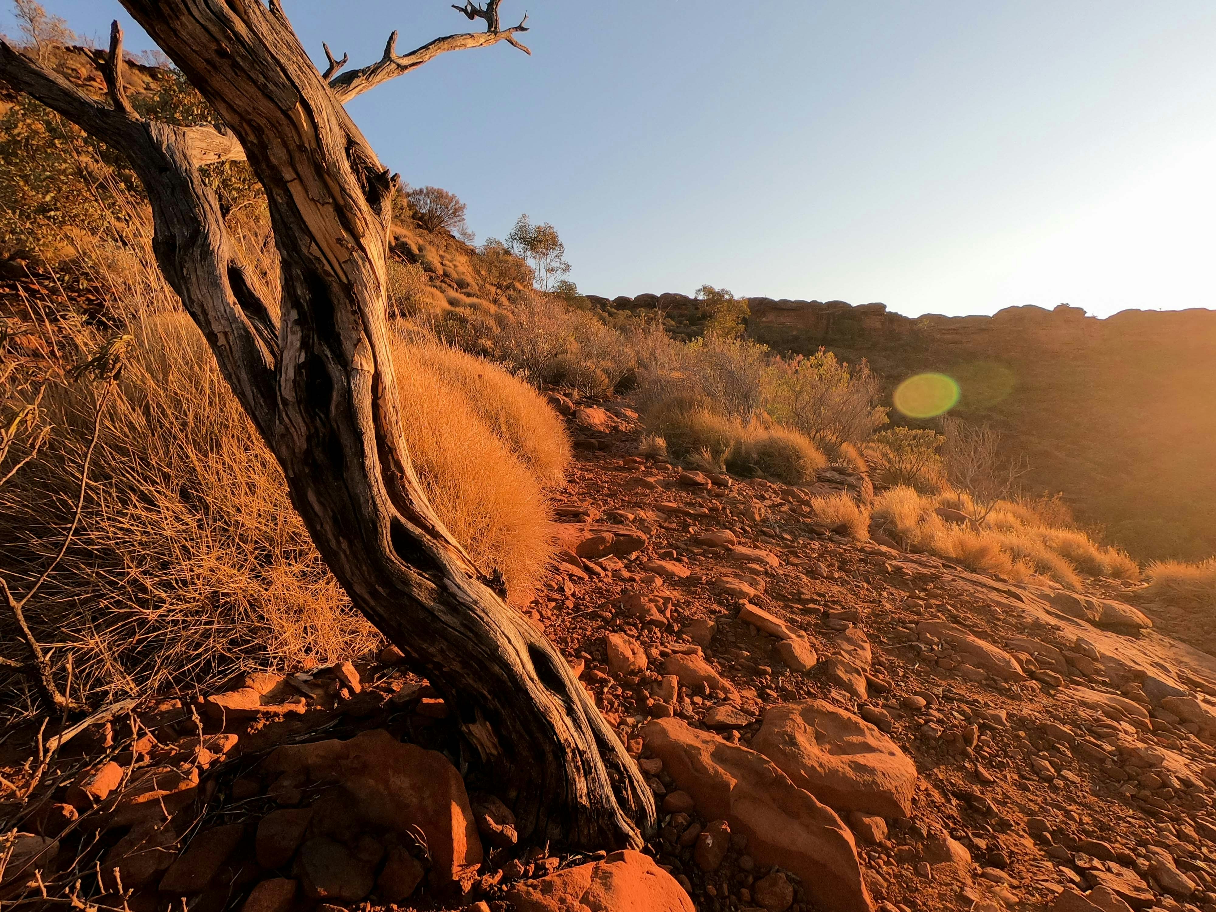 Photo by sheldon_ikin