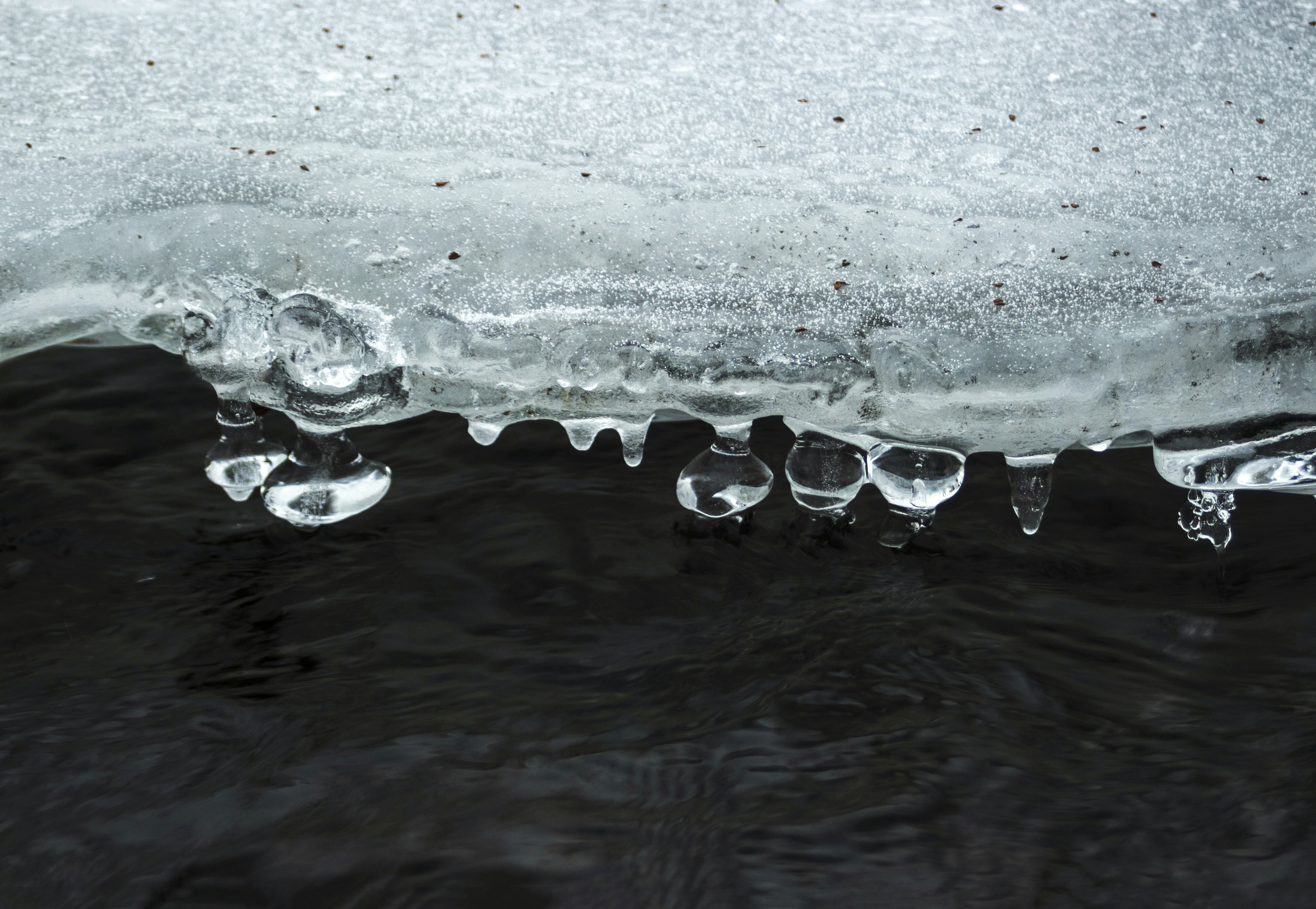 Photo by miloslopusina