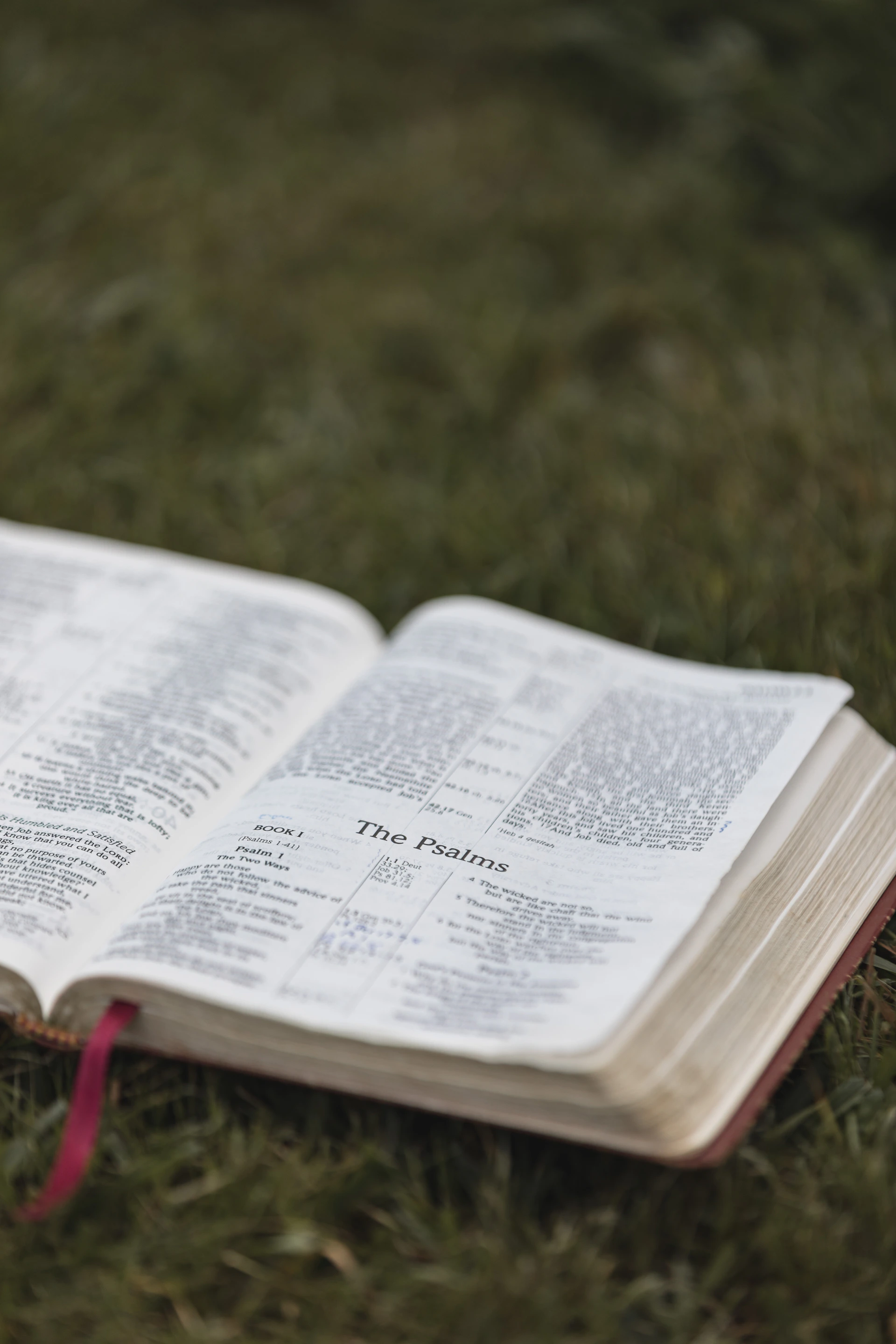 an open book on the ground with a red ribbon